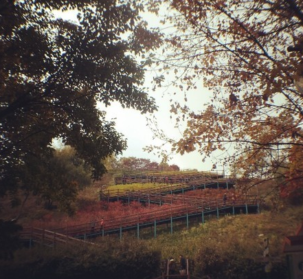 
                        #網紅景點#天空公園
天空公園一年四季都有不同的景色，尤其在10-11月的紫芒季，成片的紫芒隨風輕舞，是對于秋天最好的詮釋。其實，這里本是首爾最大的生活垃圾廠，為了改善生態環境，首爾政府將這些垃圾填埋成四座山坡，分別種上了紫芒、苦菜、堇菜和三葉草，投放了三萬多只蝴蝶，如今為了炙手可熱的旅游地。