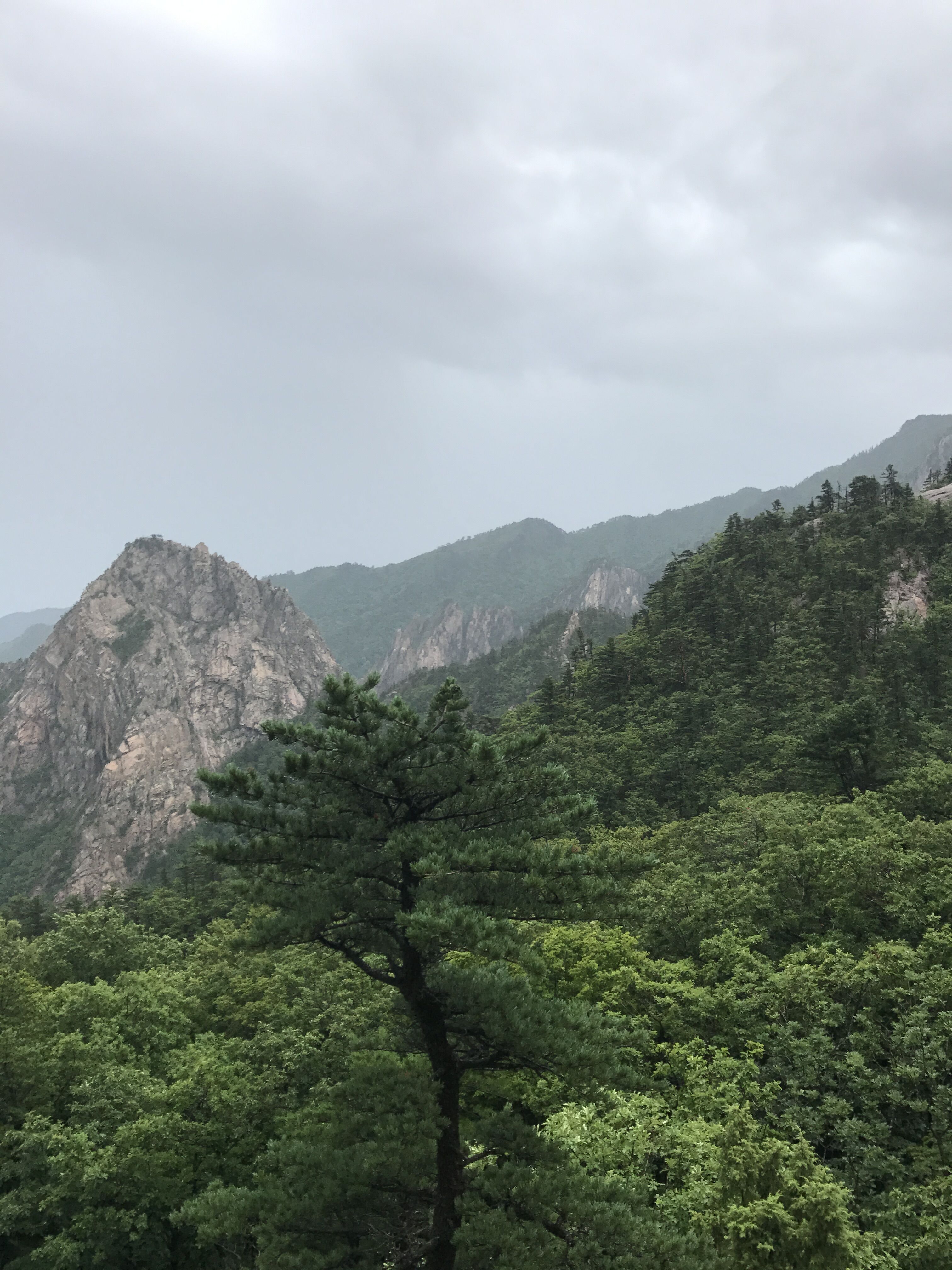 
                        束草除了海水浴場還有雪岳山啦，從我們住得酒店旁邊有直接到雪岳山森林公園的公交車。這里感嘆-下韓國公交車的速度，真，活著真好!
下車往前走就會看到大門，排隊買票進去。韓國人真的很喜歡爬山，大叔看我排著排著往外走了還跟我示意該我買了，我跟他說是一起的哦
去的時候是正好趕上下雨，不過還在纜車還能正常運行，真是在雨里霧里上山啊！山雖然不高，但是山頂?shù)木吧€是十分壯觀的！作為對于外國人比較冷門的景點，完全值得推薦！