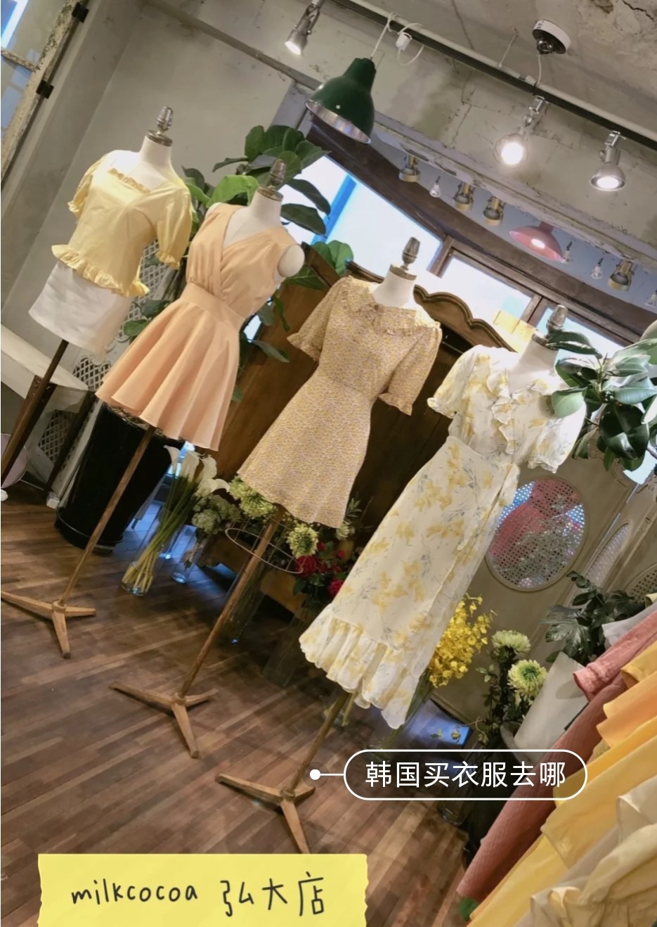 
                        #韓國購物#
必逛的少女風店鋪，秒變粉嫩少女
每次去韓國，行李箱都是空著去，滿著回。朋友問：你就穿一套衣服去，萬一買不到你穿啥？
朋友，在韓國在首爾，怎么可能買不到衣服？
明洞地區，樂天免稅2樓及與樂天免稅相連的young plaza真的無敵好逛。品牌齊，能退稅，有吃有喝有玩交通還方便
交通：2號地鐵線乙之路站7號口處