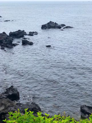 
                        濟(jì)州島旅行器的第一天，第一站打卡自然風(fēng)光龍頭巖。這個(gè)景點(diǎn)濟(jì)州島當(dāng)?shù)厝巳サ囊脖容^多，有很多家庭過(guò)來(lái)游玩。
龍頭巖是200萬(wàn)年前熔巖噴發(fā)后冷卻而形成的巖石，高10米，長(zhǎng)30米， 看上去像是在龍官生活的龍欲飛上天時(shí)突然化作
石頭-般。正是由于巖石-端頗似龍頭,故得名龍頭巖。
龍頭巖風(fēng)景還是不錯(cuò)的，還可以喝上一杯濟(jì)州島的橛子汁,感受下當(dāng)?shù)氐奈幕? />
                                            </div>
                    <div   id=