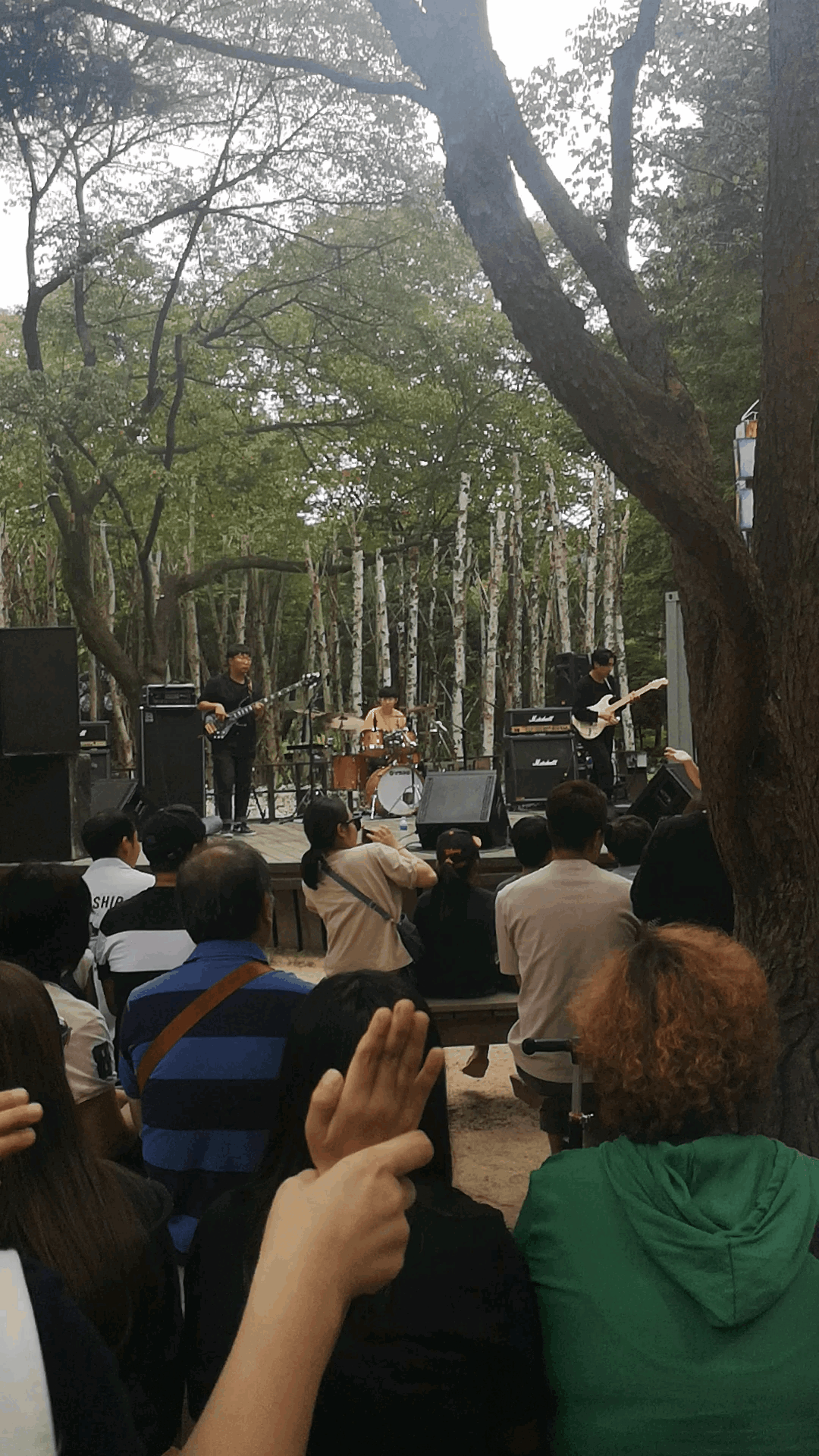 
                        南怡島上的演出，比起唱功，更喜歡現場的氛圍