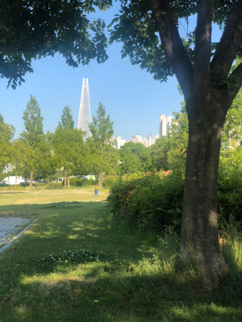 
                        從漢江公園看樂天塔 #韓國景點# 