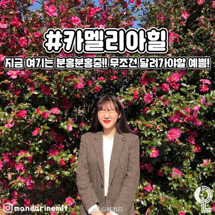 
                        冬天來濟州島，一定不要錯過這9個地方，全都是唯美的浪漫打卡地~！
1.【????】終達里路，一到冬天，石墻被白雪覆蓋，角角落落都非常夢幻~
地址：濟州特別自治道濟州市舊左邑終達里(??????? ??? ??? ???)
2.【???】漢拿山，韓國最高的山，在濟州島的任何地方，都能看到這座充滿魅力的山峰，一到冬天，山頂上就化身“冬雪王國”，美成了仙境~
地址：濟州特別自治道西歸浦市上孝洞山220-1(??????? ???? ??? ?220-1)
3.【??? ????】山房山碳酸溫泉，是濟州島非常有名的溫泉勝地，是緩解疲勞的治愈地哦~
地址：濟州特別自治道西歸浦市安德面沙溪里981(??????? ???? ??? ??? 981)
4.【?????】山茶花之丘，濟州島超贊的冬季打卡地，唯美的山茶花，還有各種浪漫的小場景，非常適合拍照~
地址：濟州特別自治道西歸浦市安德面上倉里271（??????? ???? ??? ??? 271）
5.【???????】濟州島有一家超火的網紅民宿，漂亮的小房子，紅色的房頂，眼前就是湛藍的大海，畫面美成藝術，就位于美麗的咸德海邊，早上一睜眼，就能看到唯美的海景哦~
地址：濟州特別自治道濟州市朝天邑咸德里215-6(??????? ??? ??? ??? 215-6) ?
6.【???】天王寺，在通向寺廟的那條小路上，秋天賞丹楓、冬天賞雪景，感覺回歸了自然一樣，安靜唯美~非常值得打卡！
地址：濟州特別自治道濟州市老衡洞山20(??????? ??? ??? ?20)??
7.【1100??】1100高地，是濟州島海拔最高的兜風路線，也是冬季看雪景的最佳觀賞地，非常唯美~
地址：濟州特別自治道西歸浦市穡達洞山1-2(??????? ???? ??? ?1-2)
8.【????】山君不離，濟州島最受歡迎的平地小火山，景色非常美，即使是冬天，也能看到迷人的紫芒~
地址：濟州特別自治道濟州市朝天邑橋來里山38(??????? ??? ??? ??? ?38)
9.【????】曉星岳，一望無際的紫芒，在風中搖曳，浪漫又夢幻，很適合拍照打卡~
地址：濟州特別自治道濟州市涯月邑鳳城里山59-8(??????? ??? ??? ??? ?59-8)
#韓國網紅打卡地# #韓國旅游#