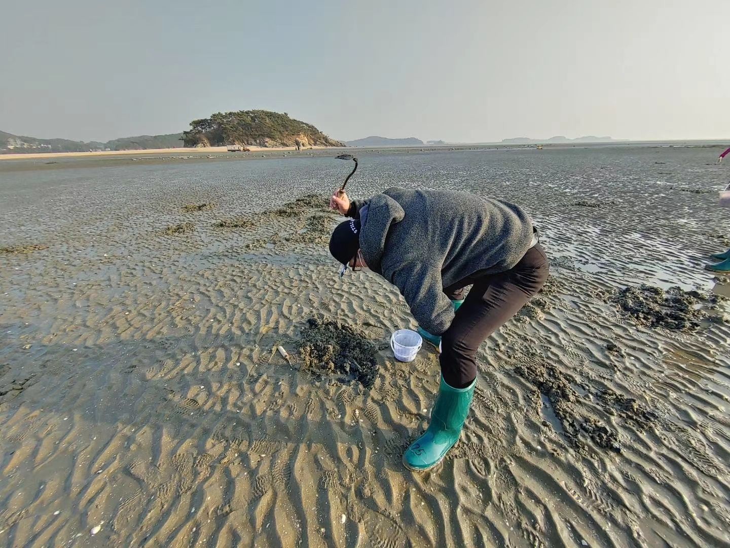 
                        #仁川旅游達人# @韓游網@奮斗在韓國今天參加了一日游活動，去了仁川仙才島，海邊不僅美麗，還認識了同行一幫有趣可愛的小伙伴，還抓到了不少海鮮，特別有意思的行程，雖說是冬天，但是晚上坐在咖啡廳里看海，很舒服很暖和，一周的疲勞都洗去了，很多韓劇一樣的場景真的很浪漫！