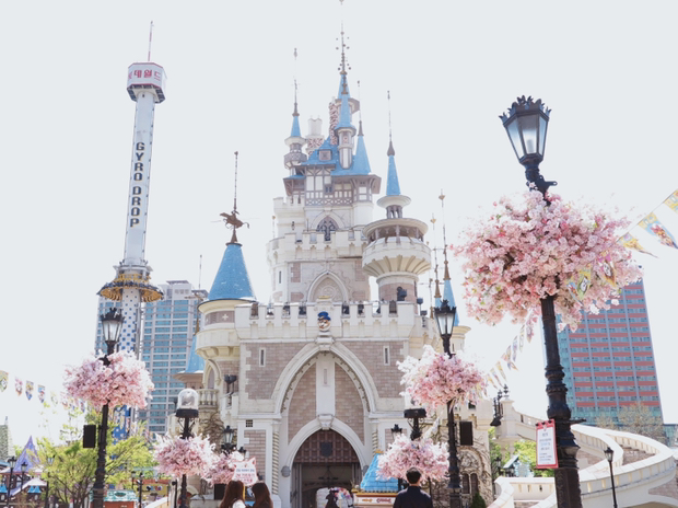 
                         #韓游網##樂天世界##游樂場#樂天世界游樂場是許多朋友們來韓旅游必打卡的地方，比較推薦的項目有：旋轉木馬，海盜船，氣球旅行，跳樓機等。來玩的朋友們可以去地下一層租校服哦！有很多韓國的小哥哥小姐姐都會穿著租來的高中校服在這兒打卡拍照，體驗韓國校服的機會不要錯過。目前收到新冠疫情的影響，營業時間調整為周一至周五10:00-21:00；周六周日及公休日10:00-22:00交通：地鐵2號線、8號線蠶室站4號出口出站步行5-10分鐘門票：分為包含民俗博物館和不包含兩種含民俗村一日券：成人（19-64周歲）:59000韓元/ 青少年（13-18周歲）：52000韓元/ 兒童（3-13周歲）：47000韓元含民俗村下午四點后入場券：成人（19-64周歲）:48000韓元/ 青少年（13-18周歲）：42000韓元/ 兒童（3-13周歲）：36000韓元不含民俗村一日券：成人（19-64周歲）:56000韓元/ 青少年（13-18周歲）：50000韓元/ 兒童（3-13周歲）：46000韓元不含民俗村下午四點后入場券：成人（19-64周歲）:45000韓元/ 青少年（13-18周歲）：40000韓元/ 兒童（3-13周歲）：35000韓元此外，36個月以下的嬰兒是免費入場的。其中12個月以下的嬰兒可以免費使用幼兒娛樂設施，12-36個月的嬰兒只可免費入場，但使用幼兒設施需要單獨購買設施使用券。值得提醒的是現場購票價格較高，計劃來玩的小伙伴們也可以提前在韓游網上預約優惠票，入場前出示護照和購買證明就可以現場取票了。園內設有停車設施和儲物箱，開車和帶有行李也不用擔心。消費全場可以使用支付寶及銀聯卡，非常方便。在特定的節假日（如萬圣節、圣誕節等）會舉辦不同的主題活動，可以看準節假日來玩哦！