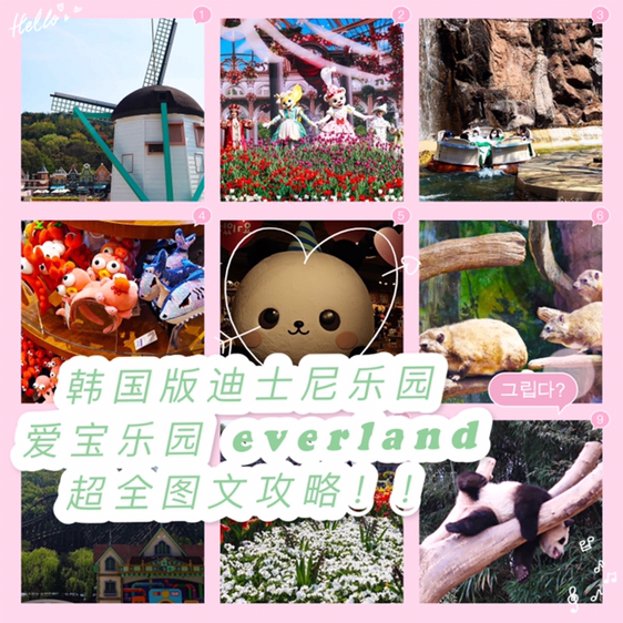 
                        愛寶樂園??EVERLAND超全圖文攻略 ??韓國版迪士尼樂園??愛寶樂園??everland超全圖文攻略??像日本迪士尼一樣，韓國也有兩大有名的游樂園，分別是樂天世界和愛寶樂園。相比起來，純室外的愛寶樂園更適合春夏季節的出游~??購票??* 1日票:成人56,000韓元，青少年47,000韓元，小孩和老人44,000韓元* 夜間票（16點后）:成人46,000韓元，青少年40,000韓元，小孩和老人37,000韓元* 2日票:成人87,000韓元，青少年73,000韓元，小孩和老人69,000韓元* 當天湖巖美術館免費入場營業時間：10：00-22：00 隨季節變動外國人咨詢電話：031-320-500我在韓游網上買的票，有優惠，還訂了直達巴士??路線??愛寶樂園位置：??? ??? ??? ??? ????? 199 (???)京畿道龍仁市處仁區蒲谷邑愛寶樂園199號1. 地鐵：???-?????1701 到站后坐園內觀光巴士上山2. 公交：1500-2(首爾-愛寶樂園)66/66-4（水原/京畿道-愛寶樂園）1113（光州-愛寶樂園）8839/8862（仁川-愛寶樂園）到站下車后就是樂園門口3. 直通往返巴士：弘大/首爾/江南站等出發直達愛寶樂園??人氣必玩????木制過山車（圖2）：入院就能看見的超大過山車，超刺激！??亞馬遜漂流（圖3）：體驗叢林漂流，夏天超涼快，結束后還有烘干機可以烤褲子哈哈哈??野生動物世界（圖4）：沒有玻璃，超近距離看小動物！??熊貓世界（圖5）：韓國唯一能觀看熊貓的地方??四季花園（圖6）：網紅拍照打卡圣地！像在荷蘭旅游！??項目??愛寶樂園APP：下載好app后入園。有中文版，需要在app上預約項目獲得二維碼，進入項目前要掃碼~地圖：入院后有紙質版地圖一定要拿，或在app上看自己的位置。五大主題區：1. 美洲冒險島：經驗刺激的游樂設施基本都在這里2. 歐洲冒險島：“木制過山車”和歐式風格的花園，著名拍照打卡地，演出也在這里（圖8）3. 魔法天地：小朋友們的世界，各種兒童型游樂設施4. 烏托邦/動物王國5. 環球集市（圖7）：“魔法樹”和各種咖啡廳商店??便利設施??（圖9）院內提供的便利設施：正門處：出租嬰兒車、輪椅、手機充電、醫務室、出租保管箱1-5號停車場：殘疾人專用停車場 #韓國網