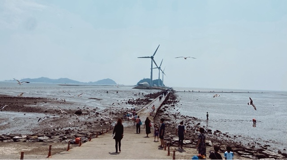 
                        【韓國·首爾周邊游】2021京畿道海上華城趣玩攻—<炭島漁村篇>接著上一篇《前谷港-華城游艇》的攻略后，我繼續和大家的分享，我的京畿道海上華城游玩攻略。我們上午體驗完華城游艇后，吃過午飯，下午出發去了 炭（蠶）島漁村，體驗了 趕海&泥潭挖貝殼。（二） 炭（蠶）島漁村-趕海&體驗泥潭挖貝殼比想象中到達的要快，從前谷港到炭島漁村大概就花了7~8分鐘左右的時間，很快。然后我們下車就直接聯系了漁村的工作人員，然后在他的帶領下到達漁村。（14：15pm到達）：1.趕海準備我們到達的時候是下午的14：15分左右，已經有很多人再等待了，因為趕海需要等到退潮后才可以下去挖，工作人員為我們準備了專業的下泥潭用的靴子，小鏟子，還有手套（一次性塑料手套+棉布手套）2.趕海開始（14：30pm）建議大家趕海之前一定要記得帶上太陽帽，墨鏡，穿上防曬衣，只要能起到防曬效果的工具，統統都用上！因為紫外線真的很強！里面沒有可以遮擋陽光的地方！工作人員告訴我們要在道路的兩邊挖貝殼，海鮮等等，盡量靠近海岸的那一塊，收獲會更多一點，像蛤蜊直接撿就行，不用特地的去挖，如果你也想挖其他的的東西的話，可以挖一些海螺或者貝殼之類的，里面會有很多寄居蟹哦！我們撿了大概2個多小時后，大家也都很筋疲力盡了，我們就決定打道回府。真的覺得那些趕海人太辛苦了，每天要被太陽曬這么久??3.趕海結束（16：00pm）我們拿著自己辛苦的成果，回到出發時的那個大棚里，在大棚的右邊有個專門用來清洗的水池。在這里把框子和鏟子還有靴子交給相關工作人員，手套直接扔了就可以了工作人員會給你一個結實的塑料袋子，里面放有海水，你可以把你撿的“小可愛們”放進去拿回家就可以啦~超級滿足！看著自己辛辛苦苦打撈上來的成果，有一種說不出來的自豪感和滿足感！4.回程我們全部清洗整理結束后，大約16：30左右坐上大巴返回首爾（約1小時車程），一天下來大家可能都累了，就睡了一路，17：30左右到達早晨的出發地點--首爾弘大站2號口。5.總結如果你喜歡吃海鮮，很想體驗一下住在海邊的人們他們每天的生活狀態，炭島的趕海體驗是一個非常不錯的選擇!體驗住在海邊人們每天的生活，趕趕海，享受自己辛苦勞作換來的豐衣足食還是非常不錯的！ #疫情旅游##京畿道旅游# 