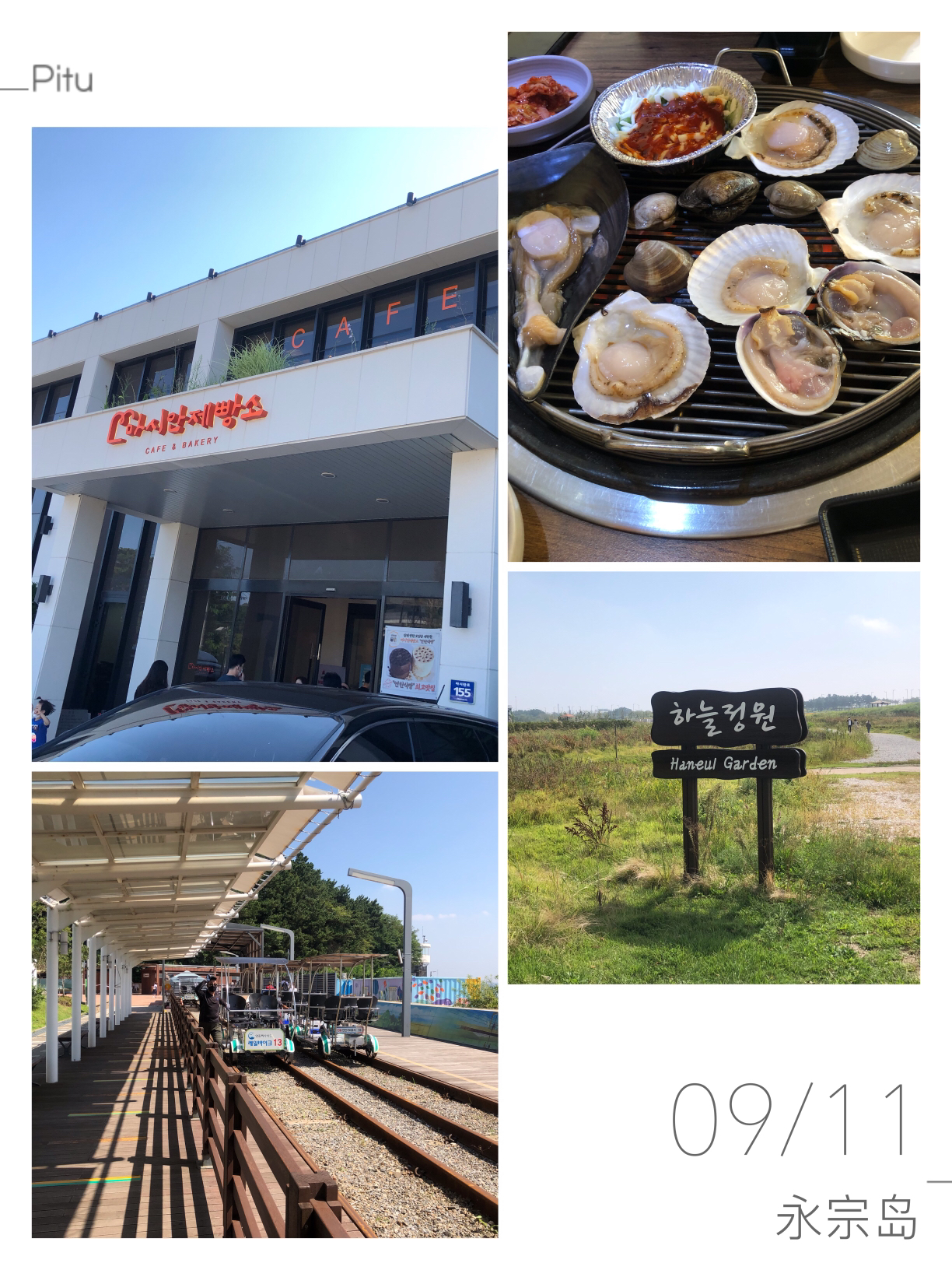 
                        韓國永宗島一日游玩??又是秋高氣爽的一天！今天要去的是永宗島天空花園、鐵軌自行車，還要去MASIAN咖啡店喝下午茶????永宗島天空公園距離仁川機場特別近,飛機??時不時會從頭頂飛馳而過.公園里以油菜花和粉紅草而聞名,我們去的時候時節沒找好,粉紅草還是深紫色,但是有很多橙色的小花,拍照很漂亮,從展望臺俯瞰,一片綠油油,因為人少所以久違的摘下了口罩??,趕緊呼吸幾口大自然的清新又帶上了。公園是沒有門票的，可以肆意游玩，但是要保護環境??哦！?? :仁川市中區云西洞2848-6/?? ?? ??? 2848-6緊接著我們駕車去了海濱鐵路自行車管理所，在那里玩了鐵軌自行車。自行車??最大限乘是4人，人多的話要分配好。全長大概7.8km左右,但是從今年5月開始縮短了距離,只能騎行5km,要騎大約45分鐘.沿途可以看海,每過一個路口都有叮鈴叮鈴的鐘聲警示過路行人,看著警示桿一升一降很有趣.因為縮短了距離,5km左右會有工作人員手動轉換方向,返回起點處.鐵軌旁有騎行的游客,有的是三五成群的朋友,有的是情侶,還有帶著小朋友騎行的家長,很厲害!?? 2人25000/3人29000/4人32000?? 仁川廣域市中區貴浦路75號海濱鐵路自行車管理所/?? ?? ??? 75 ???? ????? ?????從自行車下來，沿海岸線有很多的炭烤蛤蜊店，我們隨眼緣選了一家就進去了。店內有炭烤蛤蜊&生魚片&拉面套餐。吃飽喝足后去了海邊的MASIAN面包工廠咖啡店，店靠海非常近,很大，有兩層,一樓很像酒店餐廳,有很多方形圓形的桌子,一進門處有許多動物的玩偶和落地鏡,二樓分為室外和室內區域,室內區域休閑,室外區域有種濟州島海邊咖啡館的感覺,大大的落地窗??、藤編椅子??、小矮桌,再配上日落晚霞??拍照美極了!
店內特色是蜂窩煤蛋糕,可惜我們去的時間不好,沒趕上,買了些別的面包帶走.蜂窩煤蛋糕售賣時間為上午11:00—11:30和下午14:30—15:00,非常火爆!上架即空那種,這時候就看各位的運氣嘍!???? 仁川特別市中區馬士蘭路155/?? ?? ???? 155 #韓國景點# 