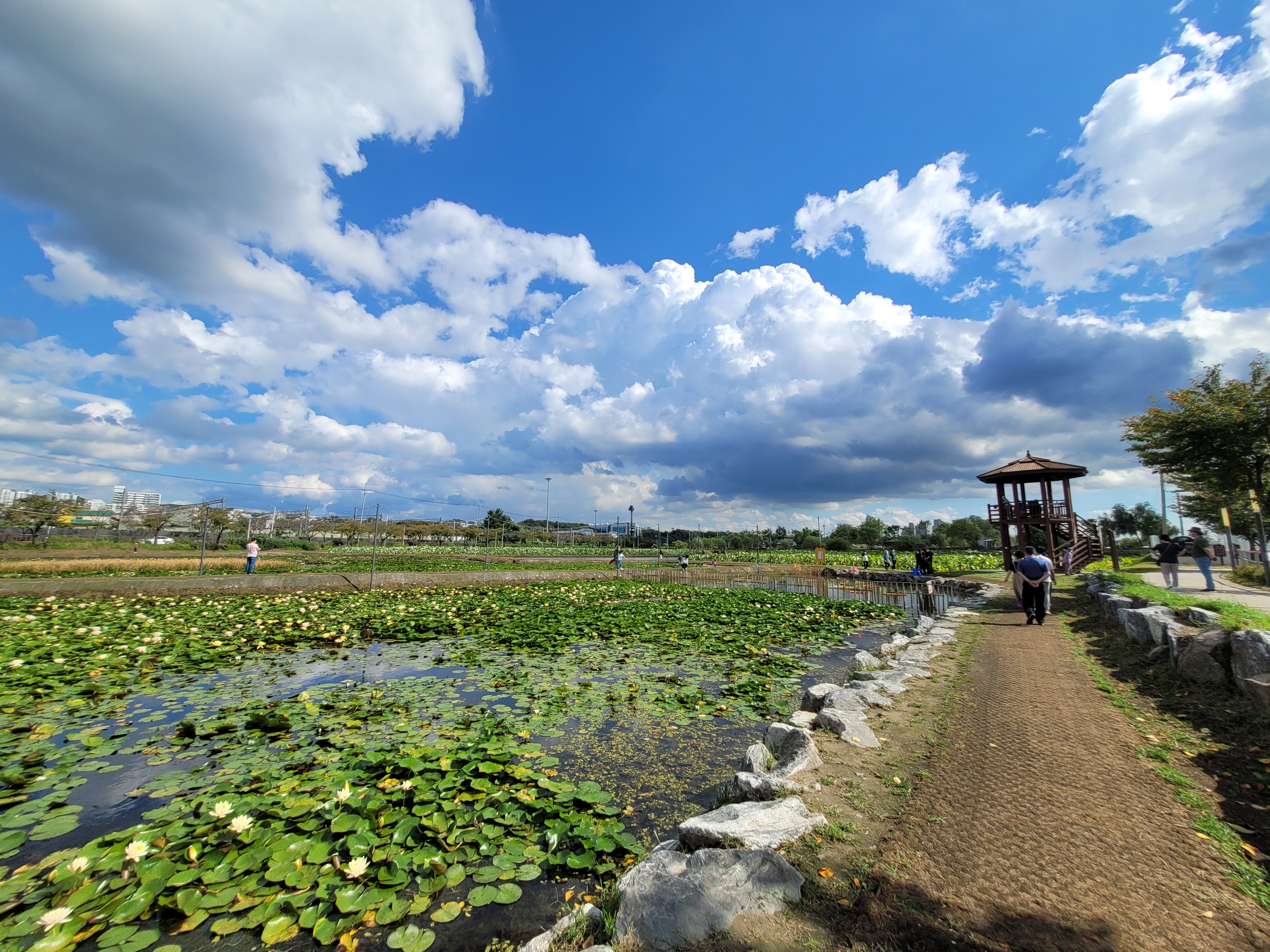 
                        旺松湖水公園是京畿道義王市的生態公園，位于義王市南端。 月巖洞和草坪洞分湖，設施本身多在月巖洞一側。以2002年10月竣工的自然學習公園為開端，市里為與附近鐵路博物館的連接觀光，一直到2018為止整頓湖泊，此后也設置各種設施。公園本身的入場費是免費的，附近建成的休閑設施鐵軌自行車、高空飛索、露營場等則收費運營。2018年12月21更名為