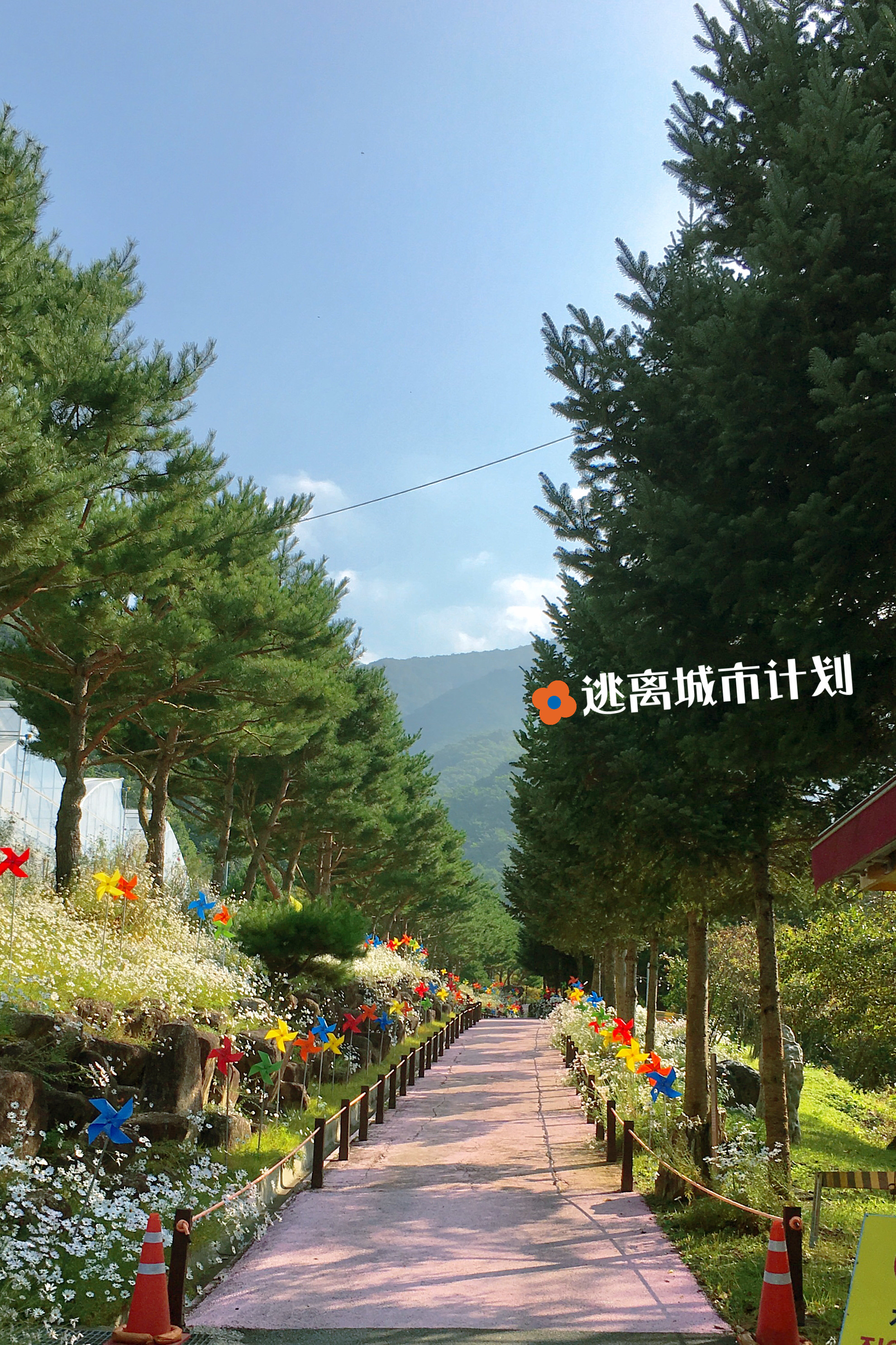 
                        韓國DMZ麟蹄&楊口兩天一日游 PART 2??DAY2：
生態植物園→午餐（豆腐火鍋）→韓半島島嶼→坐皮艇(破虜湖) →訪問咖啡廳（自由吃零食）??楊口生態植物園（?????）
??地址：江原道 楊口郡 東面 順古路 310號街 131（?? ??? ?? ??? 310?? 131）
??價格：6,000韓幣/一人
楊口生態植物園就是個天然的氧吧，園區內有各種各樣的植物，還可以預約向導帶你一起逛逛園區。對了！門票價格雖然是6千韓幣，但是購買時會返還給你3千韓幣的楊口代金券，在楊口的店鋪都可以使用哦！??豆腐火鍋（??????）
??地址：江原道 楊口郡 楊口邑 飛鳳路 91-23（?? ??? ??? ??? 91-23）
??菜單：豆腐火鍋 8,000韓幣/一人煎豆腐 8,000韓幣/一份五花肉泡菜湯 9,000韓幣/一人
帶到DMZ當然要吃豆腐！DMZ的豆腐真的很出名哦～
豆腐火鍋看起來量不大，但是幾個人吃起來還是很充分的！??韓半島島嶼&破虜湖（????&???）
??地址：江源道 楊口郡 楊口邑 韓半島路 76（?? ??? ??? ????? 76）
??價格：免費
韓半島是位于破虜湖上一個小島，因為島的形狀和朝鮮半島的樣子相似而得名。我們去的當天剛好有一個小型的慶典活動，不僅免費招了大頭貼，還了幾個小公演，還有做風箏的體驗活動。??破虜湖皮劃艇（??）
??價格：10,0000韓幣/一人
??體驗時間：40分鐘
破虜湖皮劃艇是真正的皮劃艇體驗！破虜湖非常的大和一般公園里的人工湖真的不是一個水平的，如果來到破虜湖一定要試試皮劃艇，在湖面上吹吹秋風，要是不想劃了也可以就讓船順著水流慢慢的漂。
??肚臍coffee（?????）
??地點：江原道 楊口郡 楊口邑 樸壽根路365街 20-2（??? ??? ??? ???? 365?? 20-2）
本次旅游的最后一站就是肚臍coffee啦，剛剛在生態園拿到了代金券也可以在這里使用～生于和平年代的我們確實太幸運了，旅行雖然暫時告一段落，但我們還一直在路上～祝大家秋天快樂:)#秋天##韓游網##韓國旅游##江原道##周末去哪兒#
