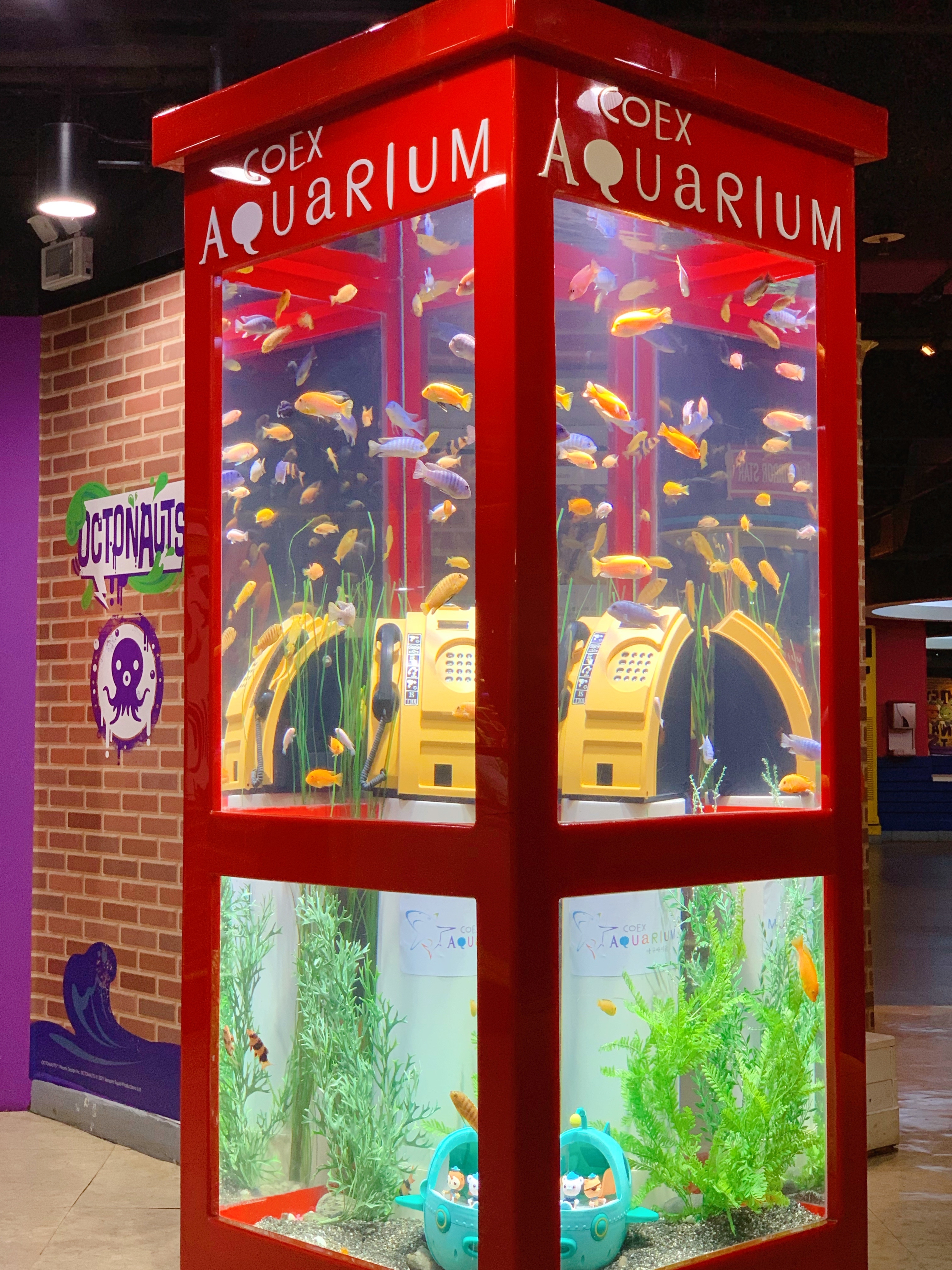 
                         #韓國(guó)網(wǎng)紅打卡地##????????##水族館##韓國(guó)旅游攻略##韓國(guó)旅游##韓游網(wǎng)##海洋館##韓國(guó)景點(diǎn)##在韓游水族館，非常治愈，也特別出圖。很漂亮！