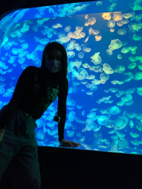 
                         #韓國(guó)旅游##韓國(guó)景點(diǎn)# 去一次還不夠的江南COEX水族館，非常沉浸，非常凈化心靈，具體攻略可以在我主頁(yè)查看，購(gòu)買(mǎi)請(qǐng)上韓游網(wǎng)????