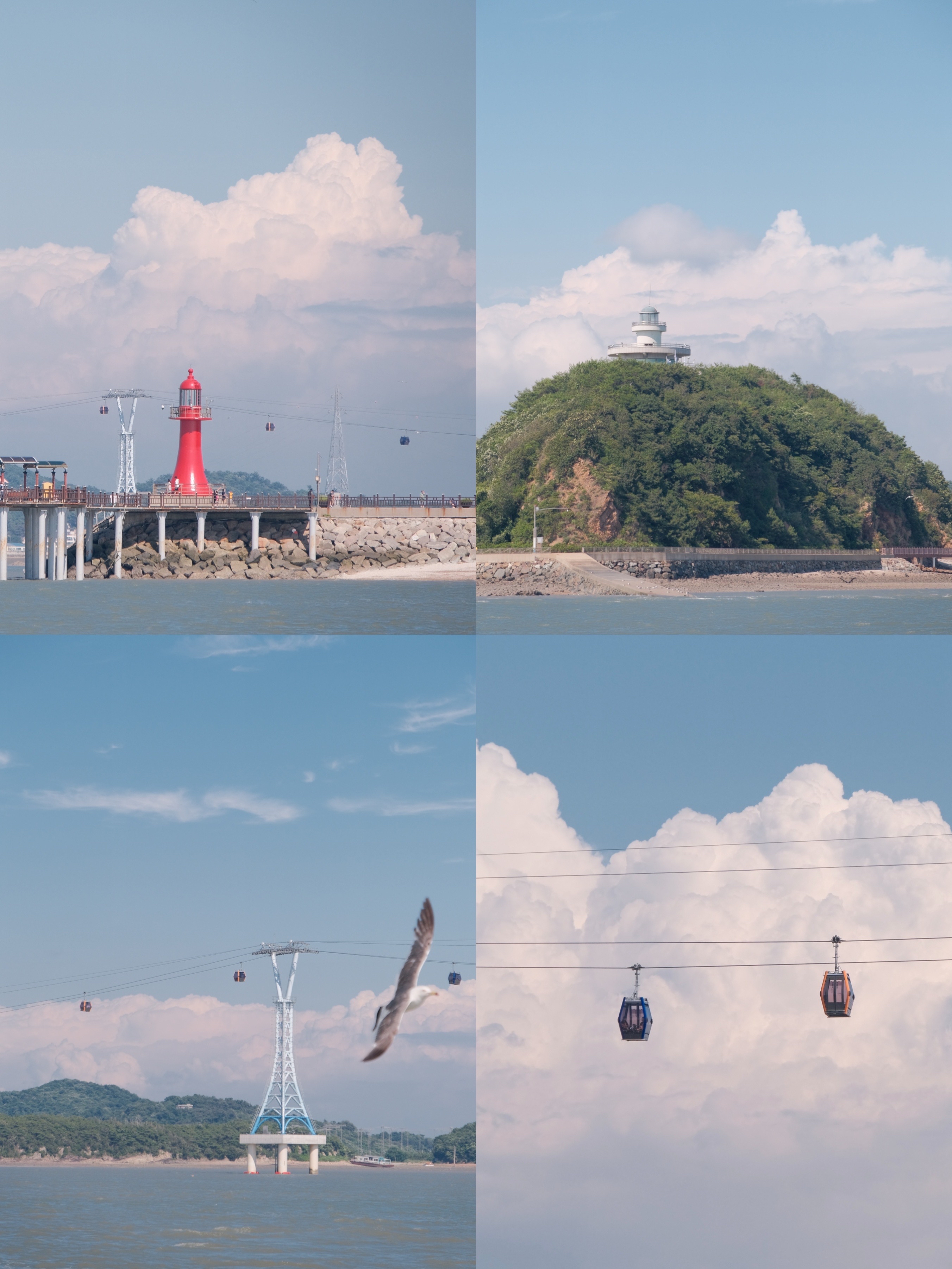 
                         #???##大阜島# 趕海挖貝殼，出海喂海鷗，美好的夏日從這一刻開始