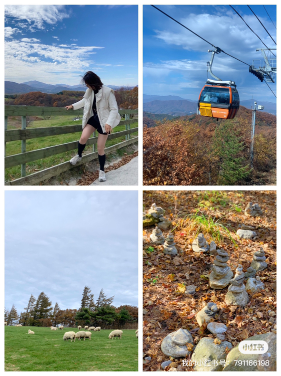 
                         #平昌# 平昌一日游 #平昌大關(guān)嶺羊群牧場+纜車&空中走廊+月精寺 # 