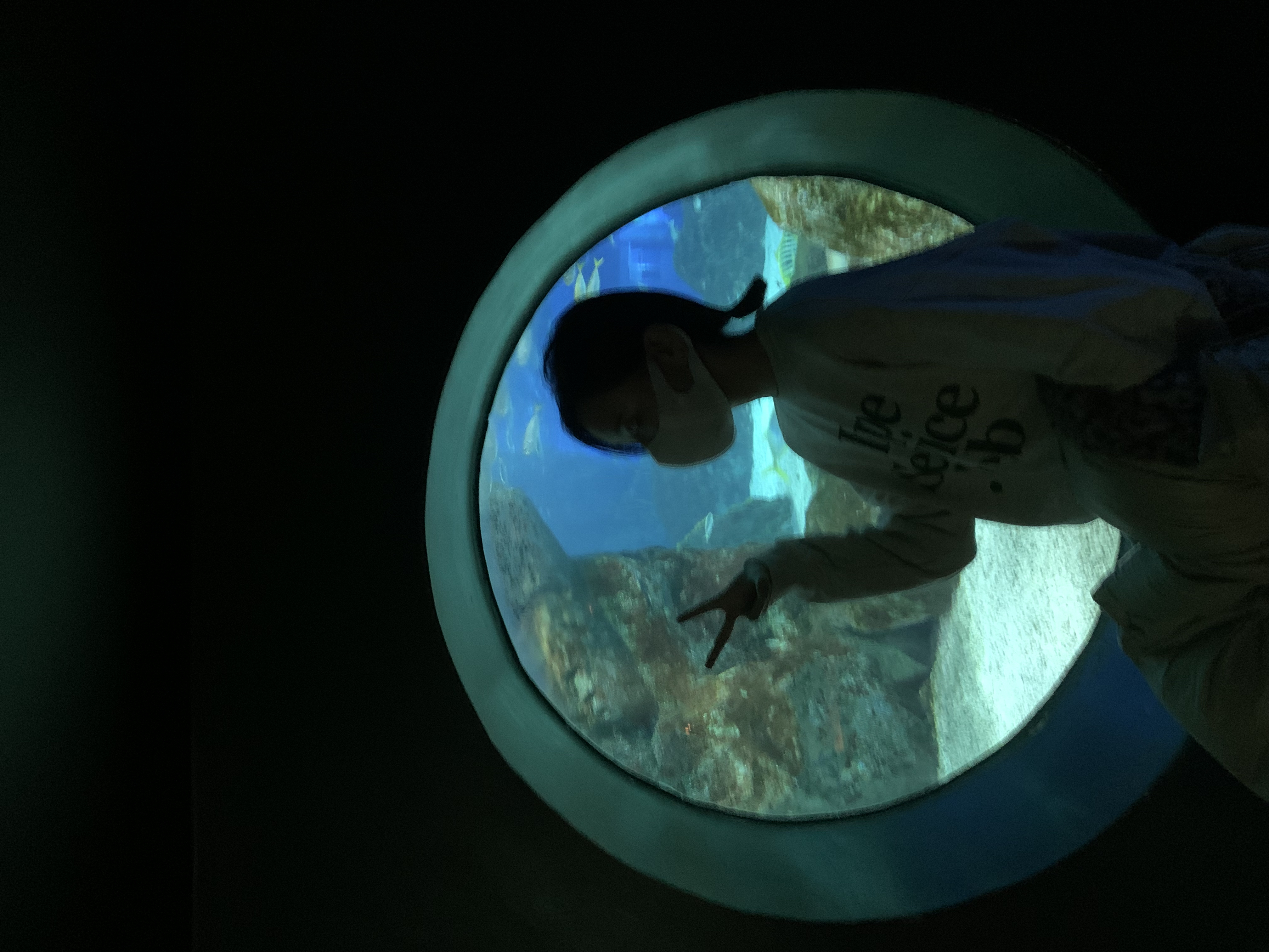 
                         #Coex水族館##coex# Coex就是韓國的冬季約會(huì)旅游好去處，有圖書館可以拍照打卡，海洋館適合約會(huì)和帶小朋友玩耍，還可以逛街吃飯，在coex里可以暖暖和和度過一天～ #韓國旅游##韓國旅游購物# 