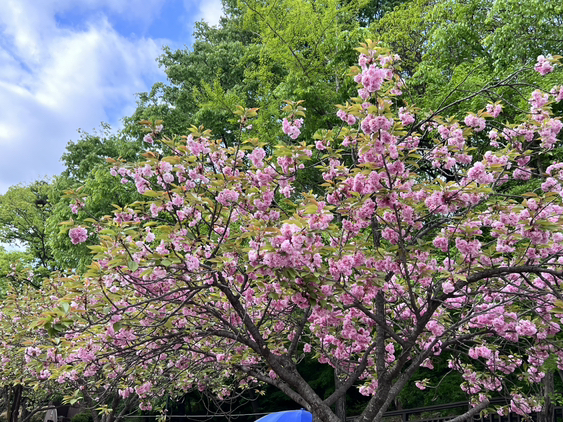 
                         #定位移動軟件有推薦嗎# 有沒有中文的在韓國坐地鐵導(dǎo)航的app求推薦到哪一站有提醒那種，箭頭跟人移動的，蟹蟹啦