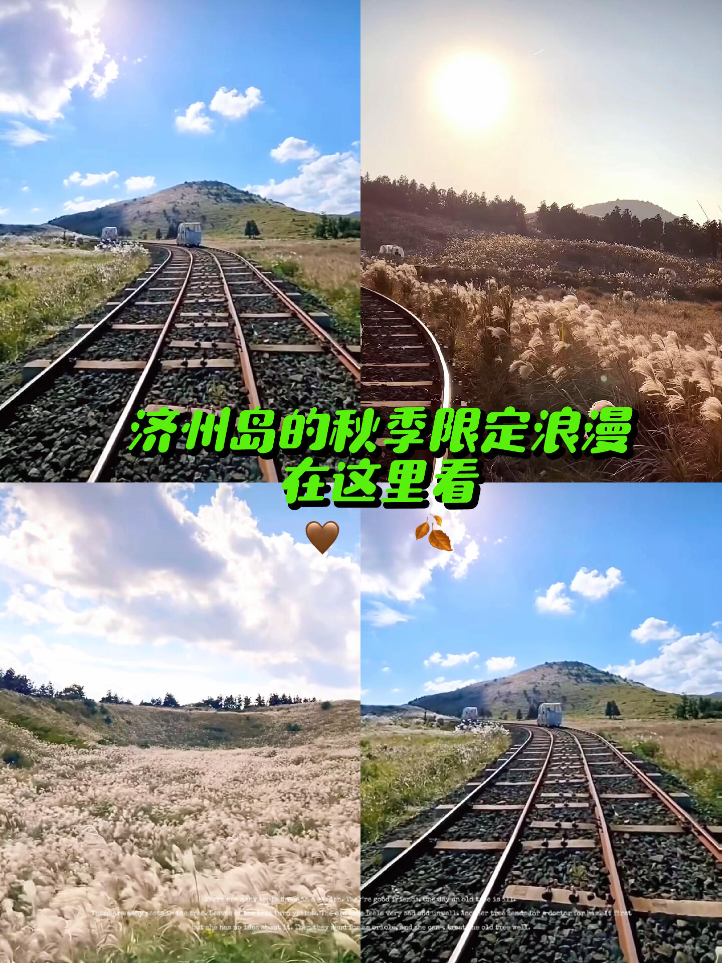 
                        韓國濟州島蘆葦觀賞指南??????秋季來臨，濟州島的蘆葦成為了一道不可錯過的風(fēng)景線。????在這里，你可以乘坐助力軌道車，一路欣賞蘆葦海和山坡的美景，感受大自然的魅力。???????這里位于濟州島的東部，乘坐軌道車一圈大約需要45分鐘。??下車后，還可以喂食小動物，既好看又好玩。???????：?????????：09:00-17:00我會持續(xù)更新關(guān)于濟州島的美食、旅行攻略等資訊，為你的自由行提供專業(yè)的私人定制行程。?????來濟州島吃喝玩樂，找我準(zhǔn)沒錯啦！???????#韓國濟州島 #濟州島的秋天 #濟州島一日游 #濟州島旅行攻略 #濟州島自由行 #韓國自由行 #濟州島特色 #今日快樂今日發(fā)