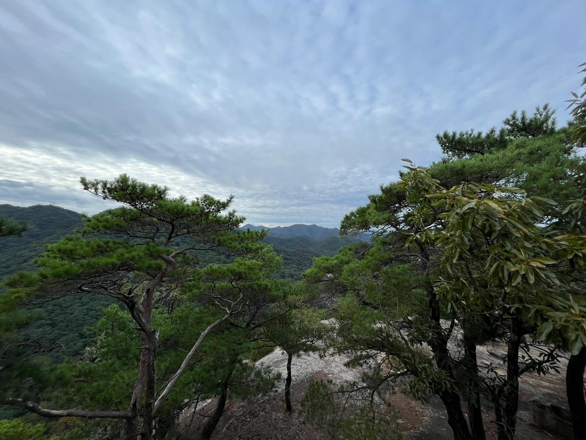 
                        韓國(guó)之旅新體驗(yàn)～寺廟住宿??法住寺，這是一個(gè)有著1500年歷史的世界文化遺產(chǎn)。我和一群熱愛探索的韓國(guó)朋友們一起，體驗(yàn)了一晚的寺廟住宿。我們穿上了發(fā)黃的馬甲，這件馬甲不僅是我們的餐票，還是我們參加早晚課的通行證。寺廟里的鼓聲激昂，景色宜人～雖然早上我沒有起來(lái)……??白天，我們可以選擇爬山，雖然難度稍大，但風(fēng)景絕對(duì)值得。只要穿上合適的鞋子，一切都沒問題。??我是在8月份預(yù)約的10月的寺廟住宿，從首爾出發(fā)，開車大約需要3小時(shí)。如果你也對(duì)這種旅行方式感興趣，可以在官方網(wǎng)站上找到更多信息。??#韓國(guó)旅游 #非典型旅游 #韓國(guó)旅行指南