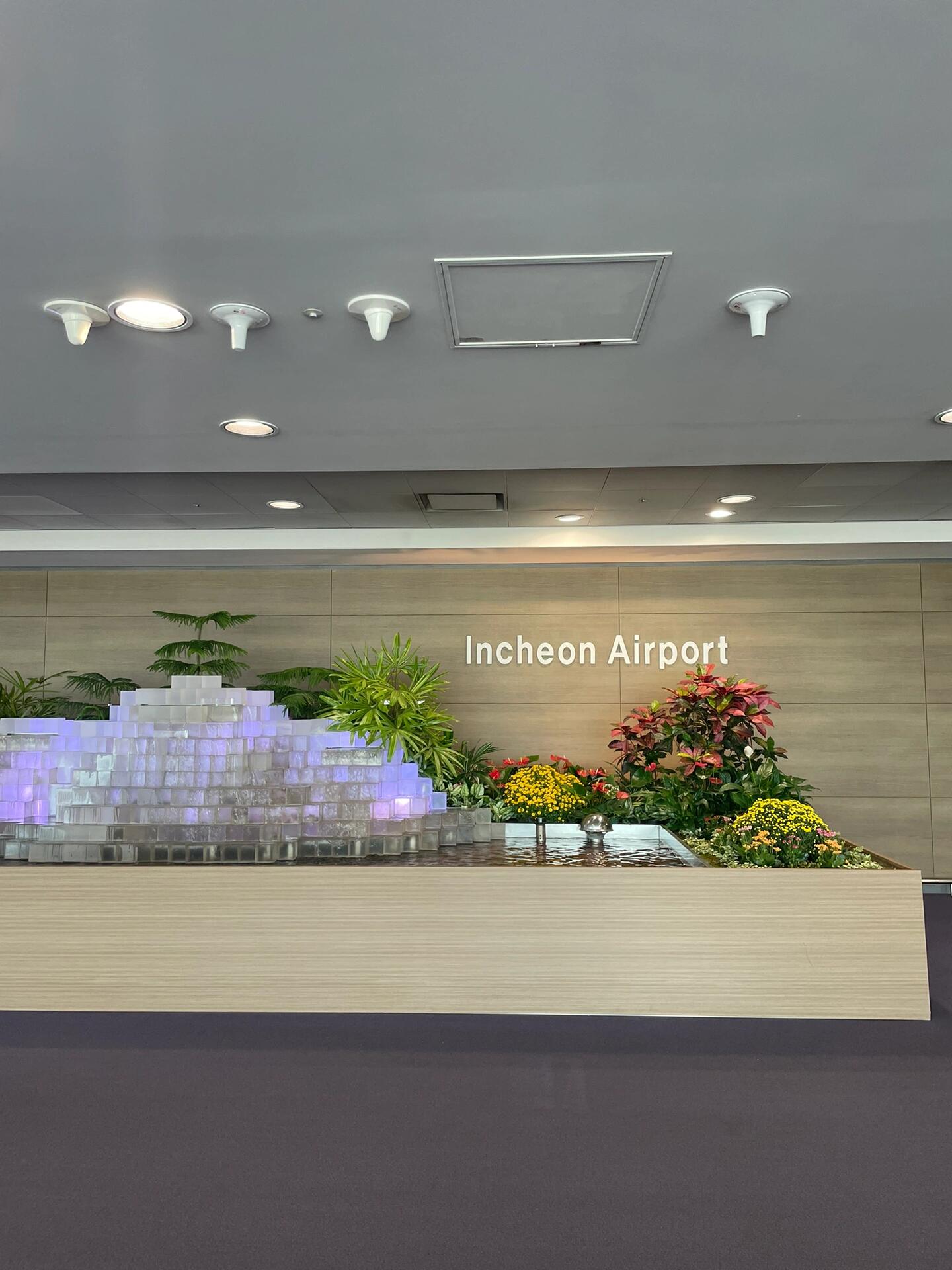 
                        韓國旅行新手指南20230923??????????今年的中秋和國慶假期連在一起，許多朋友都選擇了出境游～今天我將我的經驗分享給大家，希望對你們有所幫助。?首先，你需要在微信的海外旅客指尖服務小程序中提前申報，操作非常簡單～只需要填寫基本的入境相關信息，別忘了截屏！！?月餅??無論是禮盒還是單獨的都可以托運，只要不含有肉類或火腿餡兒的，其他的應該都沒問題（至少我這次帶的幾盒都順利通過了～）?如果你是從大連起飛的話，我強烈推薦韓亞航空！餐食真的很精致～而且非常美味！下面是炒飯，上面的雞排也非常好吃～還配了靈魂辣椒醬（想想我之前坐南航的航班只有冷食和礦泉水）而且空姐們服務也特別好?上飛機的時候，記得填好圖4??的兩張表格，否則下飛機的時候會浪費很多時間哦，而且記得不能填中文，只能是英文或韓語～??一定不要帶含有肉類的食品，特別是火腿腸和牛奶！今天我這趟飛機就有人的手提行李中被查出來了哦！據說有的還會被罰款??（不確定哈）?記得帶簽證頁打印版！不知道其他城市如何～大連這邊每次都會要求提供簽證復印件，如果沒有可能會影響正常入境哦！所以最好還是帶上吧如果你們還有其他問題，可以在下面留言，我會盡我所能回答大家哦～提前祝大家節日快樂????#韓國入境 #境外游 #韓國旅游 #大連飛韓國 #韓國旅行攻略 #韓國入境攻略 #韓國旅行