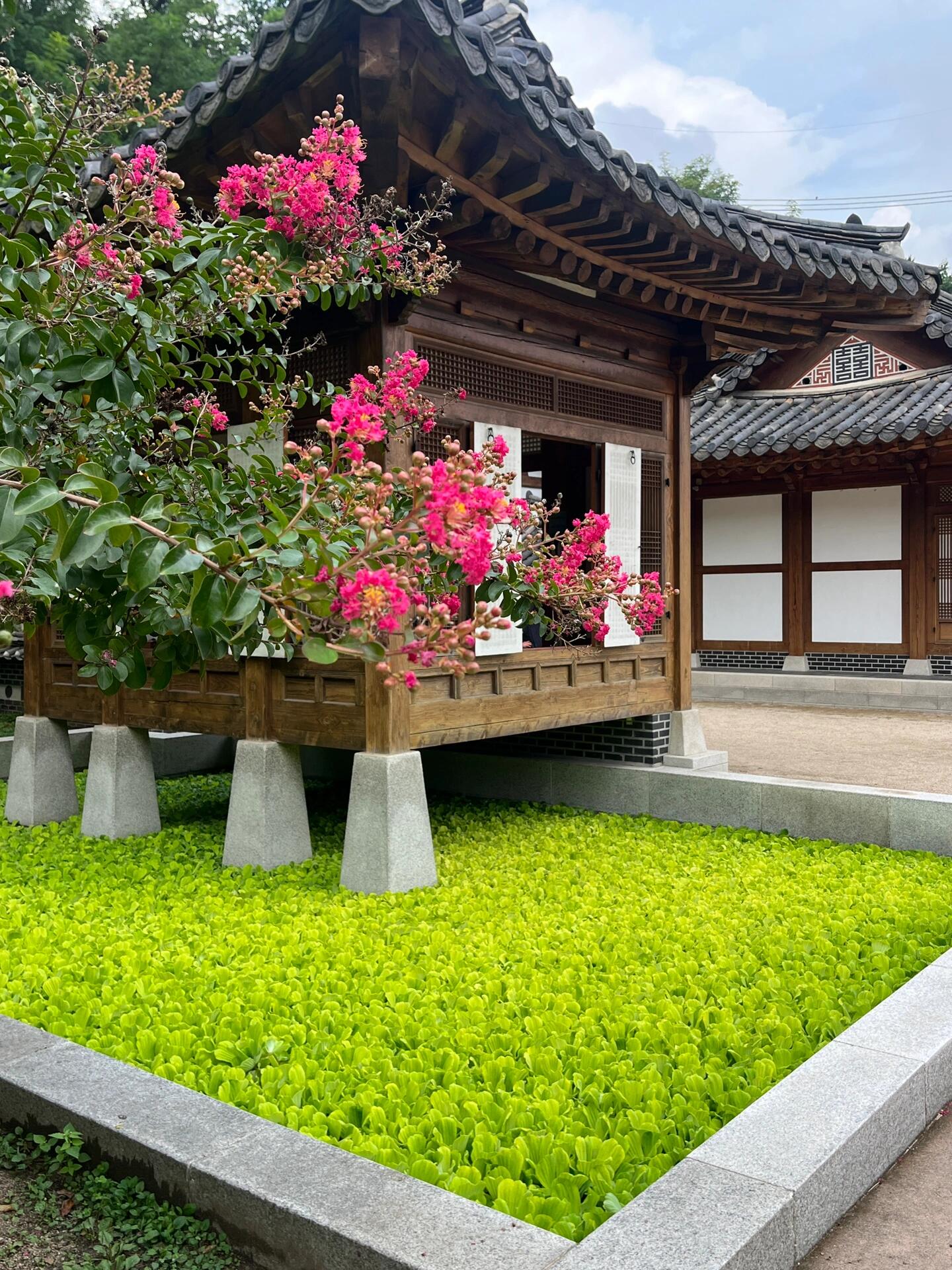 
                        韓國之旅：祛除購物狂的幻想??看到小紅書上滿滿的韓國購物攻略，我想說的是：寫韓國購物攻略，不只是購物那么簡單……你要寫這里是全球Google map和蘋果地圖最難以導航的地方你要寫這里的韓文標識，可能你就站在店鋪前也看不出來你要寫這里的山坡，購物的同時還能鍛煉身體你要寫那些被吹噓的必打卡商店，里面的衣服可能是5年前的款式你要寫那些被譽為最值得逛的購物圣地，其實質量、顏值、價格比市場上的男人還要離譜，國貨不香嗎？在國慶節前，希望能幫助到每一個姐妹現在去韓國，一定要學會看清韓國的真實面目可以是為了品嘗正宗的韓國料理可以是為了追星看演唱會可以是為了在濟州島騎行看海甚至是可以為了在城市里喝咖啡，晚上在弘大跳舞但是，對于購物，請不要抱有太高的期待這幾年無論是款式、質量、還是價格，早已不是不可替代的了，國貨不香嗎？真的沒必要，真的沒必要。?我是希望周末實現?????? ????????????????的飛天小女警～關注我帶你玩出不一樣～#韓國 #韓國自由行 #韓國旅行攻略 #首爾購物 #首爾探店#國慶節