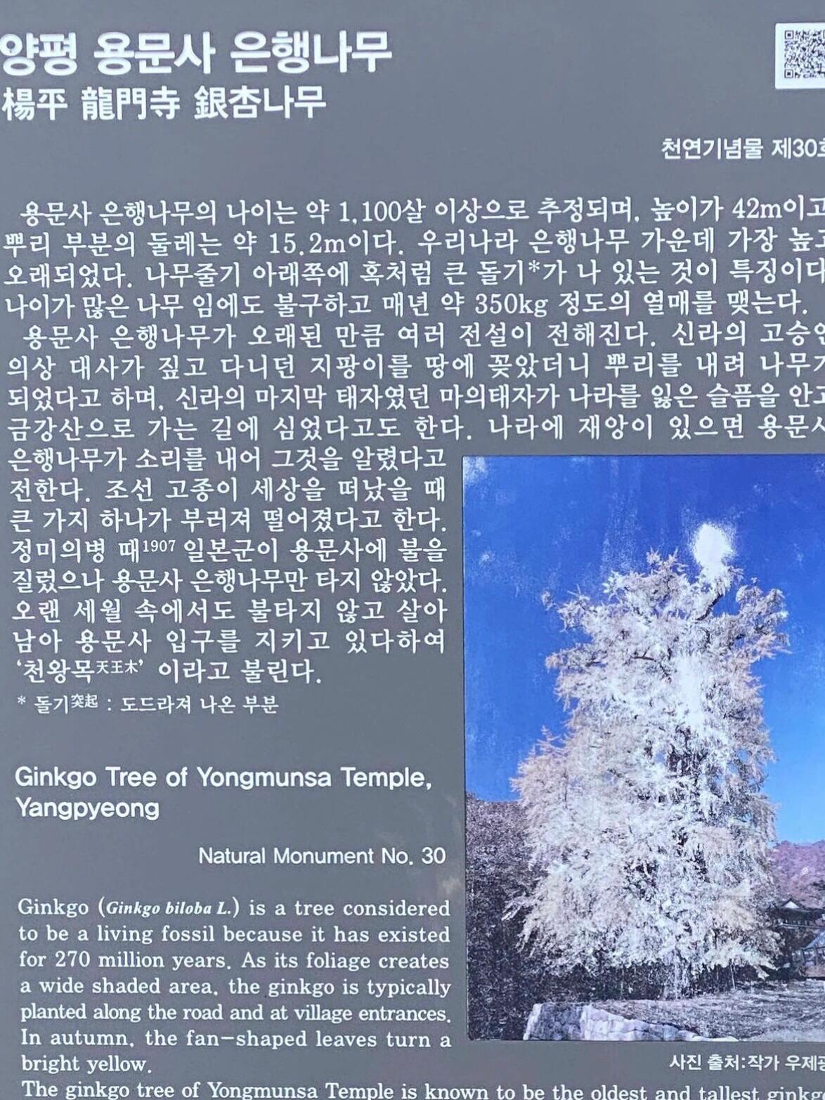 
                        首爾之旅：雪岳山&龍門寺秋色之旅??韓國旅游的你，如果還沒聽說過龍門寺的銀杏??，那你真的需要補補課了！雪岳山&龍門寺是首爾周邊最受歡迎的秋季觀賞地點??。這里是給那些不想查找交通和攻略的朋友們的懶人攻略??，直接跟著我們一起去吧！————————————?旅程亮點??0-2歲兒童???免費游玩！??中文導游帶隊，溝通0??障礙??無需自己購買門票和制定攻略，跟著我們一起玩就行??超省心！.??旅程介紹??雪岳山雪岳山是韓國三大名山之一，無論是冬季還是秋季來游玩都能get到超級仙的美景??。從山頂俯瞰??，滿眼都是紅色的楓葉??，仿佛走進了童話世界！??龍門寺雖然是個游客比較少的冷門景點，但是??這里有一棵巨大的千年古銀杏樹，尊的超級壯觀！地上都是金黃色的樹葉??，人少景美??，拍照超級出片！.??旅程安排??06:00-06:40 首爾出發??06:40-09:00 前往目的地??09:00-13:00 雪岳山+午飯時間??15:00-16:30 龍門寺??16:30-18:00 回程??18:00-19:00 到達首爾————————————??雪岳山&龍門寺秋色一日游??最佳觀賞日期：10月中旬-11月中旬??預算：365r/人.??集合地點??弘益大學站4號出口 ??06:00??明洞站3號出口 ??06:30??東大門文化歷史公園站10號出口 ??06:40.??下車地點??東大門歷史文化公園站 ??18:00??明洞站 ??18:10??弘益大學車站 ??19:00————————————#韓國旅游 #韓國 #首爾 #首爾秋色#首爾周邊游#韓國秋色 #韓國自由行#秋色#遛娃