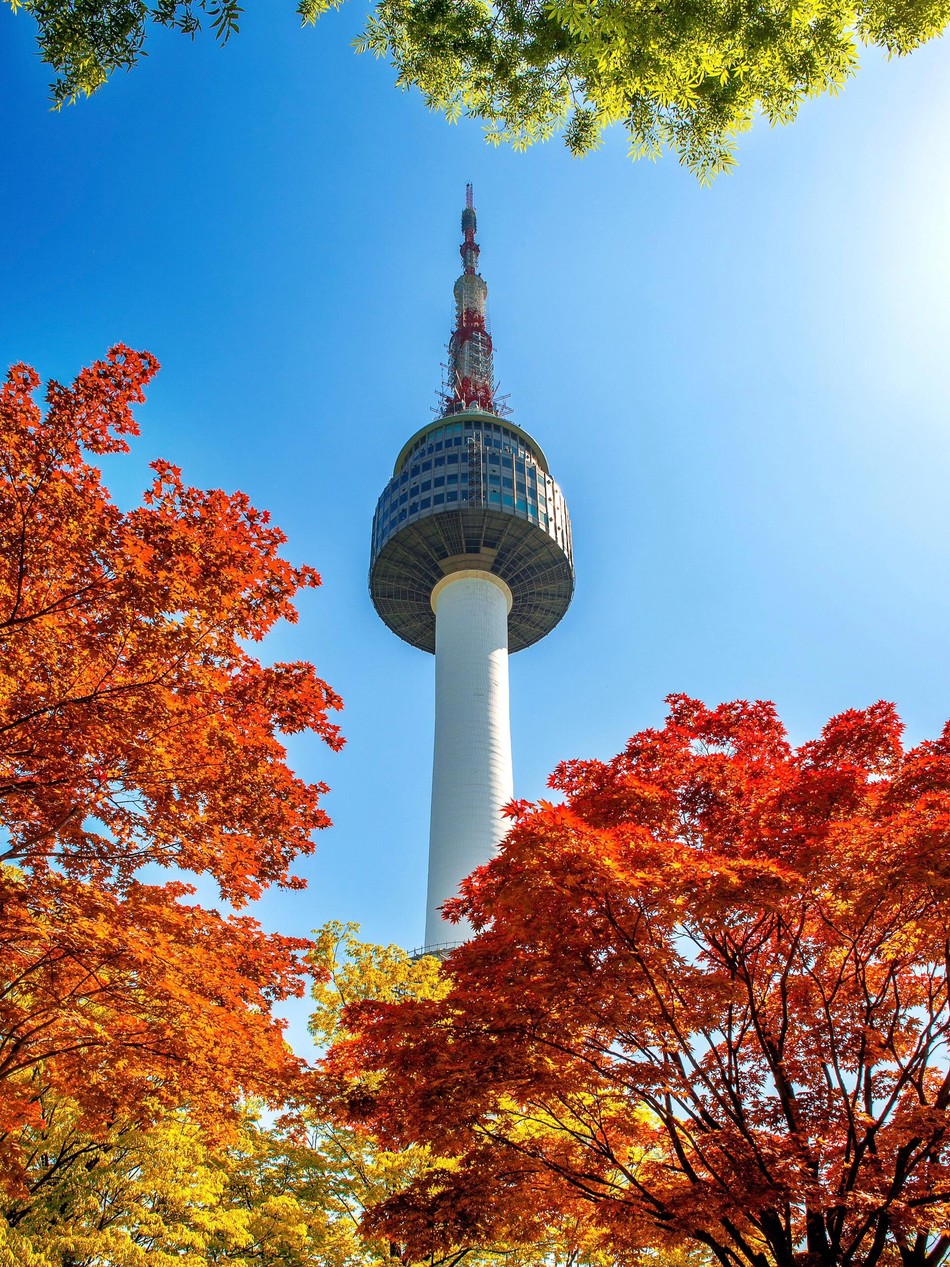 
                        2023年國慶，首爾之旅，體驗韓劇主角的生活！??下一站：韓國首爾??國慶出發(fā)日期：9月27日/9月30日/10月1日??旅行推薦：君之悅旅行-??行程路線分享D1從上海出發(fā)，首站-首爾，然后游覽仁川中華街和松月洞童話街D2穿越歷史，體驗韓服，游覽景福宮，青瓦臺，南山谷韓屋村，最后在新羅免稅店購物D3參觀好客空間，體驗制作紫菜，游玩愛來魔相4D，善意洞，最后在新羅愛寶客免稅店購物D4參觀國立中央博物館，然后在明洞樂天免稅店購物，最后在明洞自由活動D5在坡州奧特萊斯購物，然后返回上海-??松月洞童話街在童話村漫步，看到許多以世界童話名著為主題的壁畫，五彩斑斕，栩栩如生，仿佛在邀請你進(jìn)入他的童話世界?????景福宮這里是朝鮮時代貴族??、高官和王族的居住區(qū)，也是韓劇的拍攝地??，穿上韓服，在這里漫步，感受韓屋之美??國立中央博物館這個博物館收藏了韓國以及中國????、蒙古????等東北亞地區(qū)的文物15萬多件，常展出的有4,500多件，內(nèi)容涵蓋考古??、歷史??、美術(shù)??等領(lǐng)域???明洞這里是購物天堂???，大街兩旁是高級名牌店鋪，胡同里是中檔品牌店鋪和免稅店-期待你的留言??或私信??，隨時聯(lián)系小君哦~#韓國 #首爾 #首爾旅行 #韓國旅行 #韓國旅行攻略 #韓國國立博物館 #明洞 #松月洞童話村