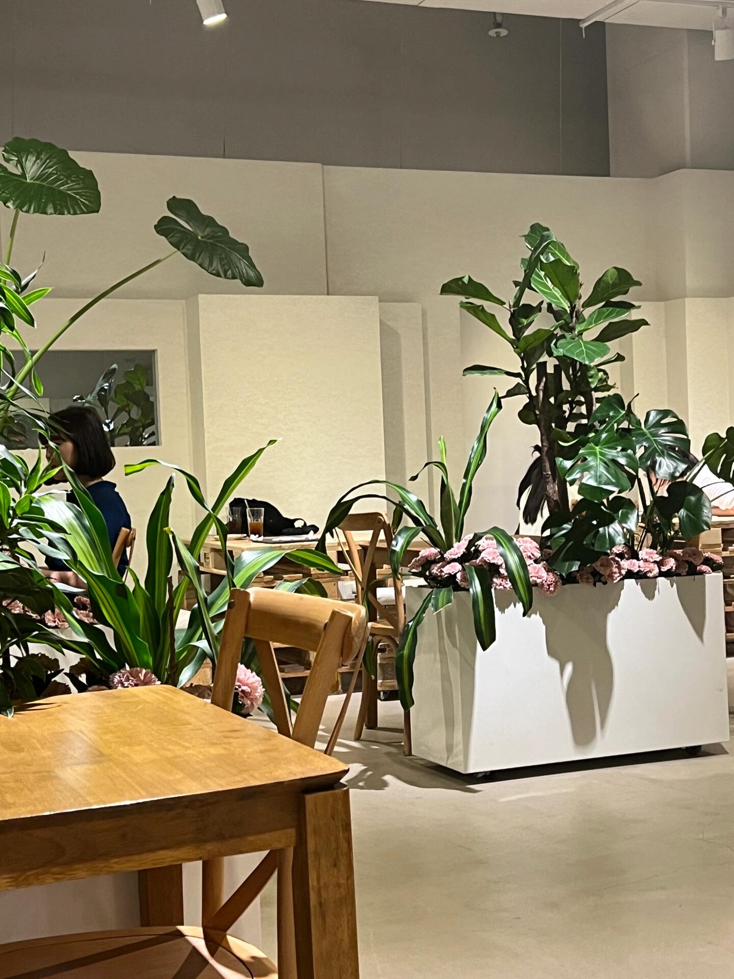 
                        ????明洞|最美打卡咖啡店-urban plant??原韓國ENA電視臺的拍攝地，現如今變身為urban plant咖啡店????明洞最大咖啡店，沒有之一（超級出片 I promise！！）??以綠植為主題，坐落在一個酒店般的建筑里面，一進去就能聞到一股花香??，往前直走看到咖啡店入口 （中國大使館的小巷子走到頭，右手邊的建筑進去就能看到）一共有6個拍照空間：1??告白-花??2??感謝-沙漠???3??挑戰-粉墻??4??勇氣-棋子??5??放空-倒鏡天空????????? ??(urben plant)???? ?? ??8?? 38 1?3 Dongmak-ro 4-gil, Mapo-gu, Seoul??10:00-22:00#韓國 #咖啡店 #韓國咖啡廳 #留學韓國 #韓國生活 #韓國旅游 #韓國探店 #明洞探店 #明洞 #下午茶 #brunch #cafe