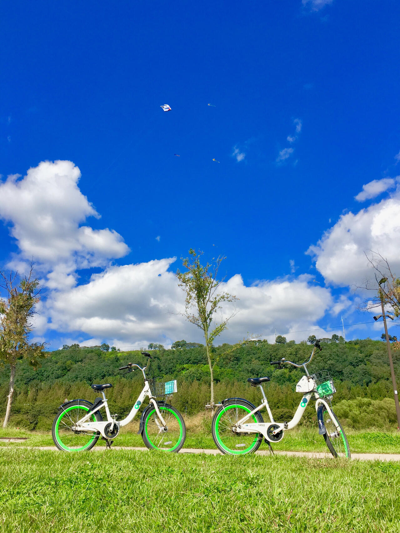 
                        首尔探索 | 在汉江公园享受骑行乐趣🚲秋天的汉江公园，美景如画，怎能错过🍂🌸晴空万里，阳光正好，朋友拉我出门，一起去汉江公园骑行🚴‍♀️🚴‍♂️骑自行车的选择多多，总有一款适合你：🚲首尔市的共享单车，虽然要下载APP、实名认证和银行卡支付，但也是个不错的选择哦！🚲🚲附近租车店或者汉江公园旁的摊位，直接租借，简单方便，就在望远洞停车场旁边可以找到🚴‍♂️🚲🚲🚲还有那些路边的电动滑板车，虽然价格稍贵，按时计费，但体验超级棒🛴💨—————————秋风送爽，记得做好防晖，偶尔出门呼吸新鲜空气，放松身心吧！祝大家秋日愉快，享受生活，感受自然🍁🌟爱心满满，愿你的秋天温馨又惬意♥️💓💗💞💓💗🉑