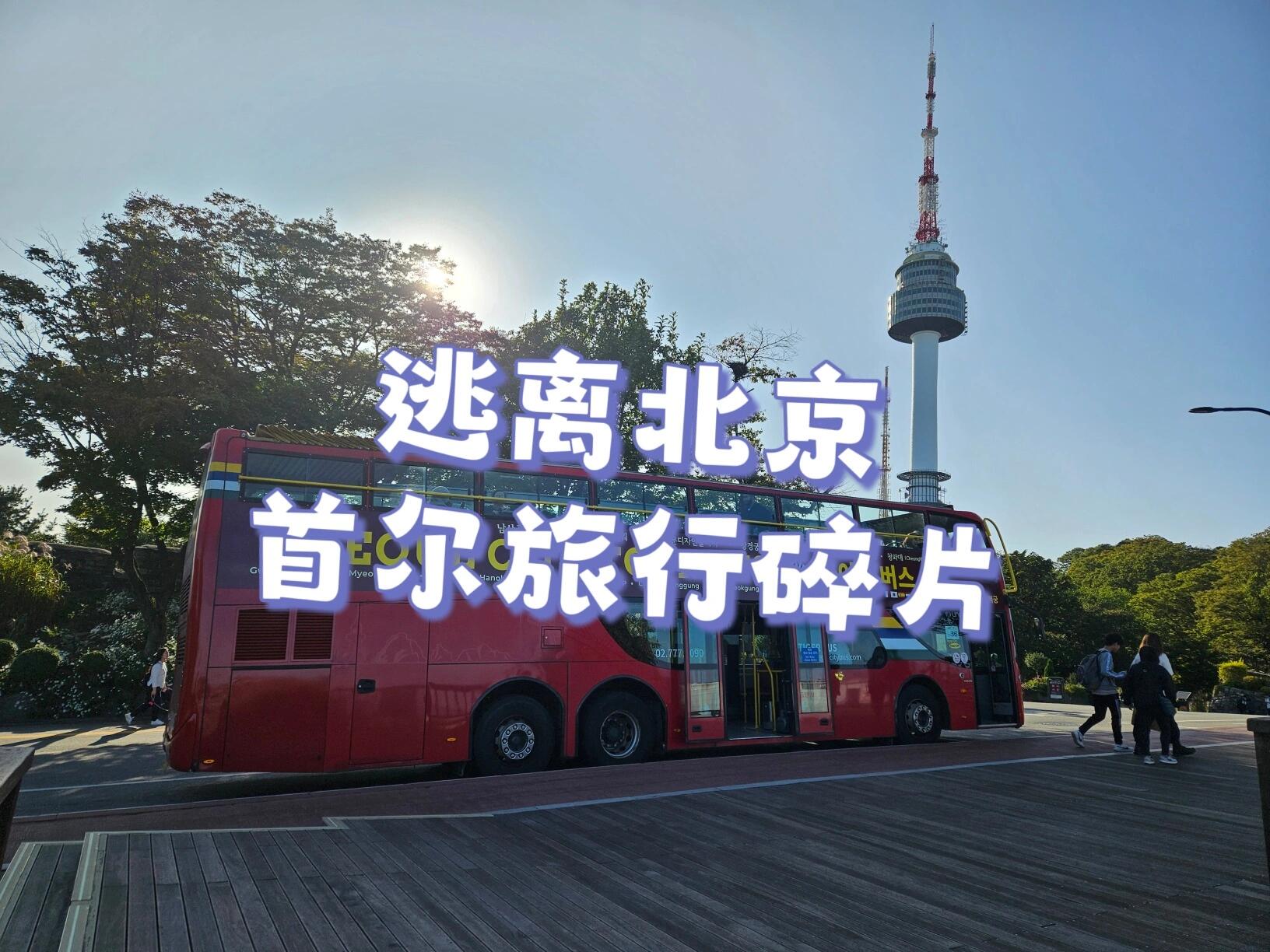 
                        首爾游記：美食與景點的小碎片????在弘大享受了超級美味的土豆脊骨湯，味道簡直無法用言語形容！?? 然后在漢江邊上，找了個舒適的地方，邊欣賞河畔風光邊吃著地道的韓國泡面，感覺整個世界都安靜了下來。????#首爾旅行 #首爾美食 #約會圣地 #景福宮