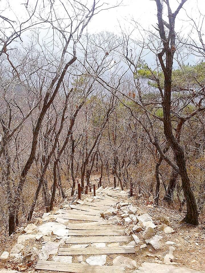 
                        ????忠清北道?月岳山國家公園?1907M達(dá)陣???月岳山（???）??在韓國生活之前，我并不是特別熱衷于登山。但是，來到這里后，我發(fā)現(xiàn)首爾市內(nèi)有很多小坡和小山，適合周末和朋友一起輕松徒步，除了逛街，我們也經(jīng)常去山區(qū)走走。慢慢地，我開始愛上了登山這項(xiàng)活動(dòng)。在韓國，我攀登過的國家公園有：首爾-北漢山??江原道-雪岳山、太白山???忠清南道-泰安（唯一的海岸國家公園）??全羅南道-內(nèi)藏山??濟(jì)州-漢拿山??現(xiàn)在，輪到忠清北道的月岳山了～我和朋友一大早從首爾高速巴士站出發(fā)，雖然沒有直達(dá)巴士，但我們愿意轉(zhuǎn)車。乘坐高速巴士2小時(shí)到達(dá)?????????，然后走到???(hi mart 旁邊），這里可以買些東西帶上山。接著，我們乘坐公交車222號大約1小時(shí)，在?????1?下車轉(zhuǎn)乘公交車981或983，15分鐘后在??下車，跟著指示牌走就可以了。山路陡峭，階梯眾多，即使不怕高的我也會(huì)有些害怕，幸好有朋友的陪伴和互相鼓勵(lì)。單程6公里，高度1097米，我們花了6個(gè)多小時(shí)共同攀登到山頂?? 達(dá)成目標(biāo)！山頂?shù)娘L(fēng)景美不勝收，微風(fēng)吹過，真的有種居高臨下的快感。#韓國 #韓國生活 #韓國忠清北道 #忠清北道 #慶尚北道 #慶尚北道景點(diǎn) #周末去哪兒 #韓國周末去哪玩兒 #韓國小眾旅游地 #韓國爬山 #韓國登山 #忠清道 #月岳山 #國家公園 #韓國國家公園 #韓國月岳山 #月岳山迎峰 #登山好去處 #登山趣 #戶外登山徒步 #徒步登山 #一起欣賞大自然的美 #筆記靈感 #???? #??? #??????? #????? #???一日游開心的一天 #?? #???? #??