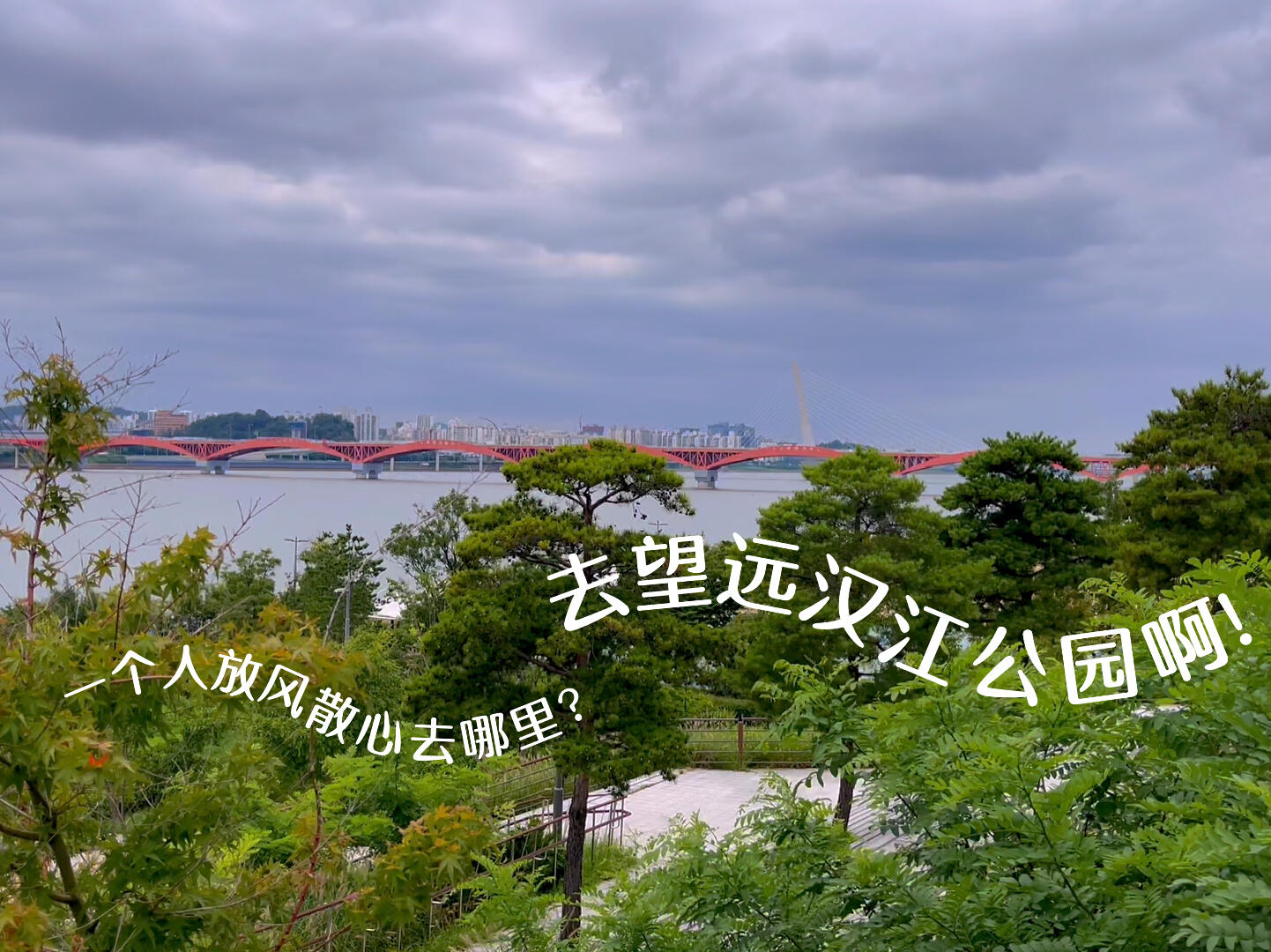 
                        ????獨(dú)自漫游，尋找心靈的慰藉在望遠(yuǎn)漢江公園????在合井區(qū)享用了美味的大雞腿拉面后，順便在旁邊的超市逛了逛，接著前往YG娛樂(lè)公司門(mén)口留下足跡，然后沿著街道漫步至望遠(yuǎn)漢江公園。滿足的肚子在步行中慢慢消化，周圍少有行人，街道寧?kù)o而充滿了氛圍感。??從合井區(qū)前往公園的路上，綠樹(shù)成蔭，坡度適中，人跡罕至。望遠(yuǎn)漢江公園沿途設(shè)有休息用的桌椅，江邊有專為散步設(shè)計(jì)的步道，還有適合露營(yíng)的階梯平臺(tái)。沿江而行，你會(huì)發(fā)現(xiàn)一個(gè)江邊星巴克，自行車手們穿梭其間，而行人卻不多，非常適合獨(dú)自來(lái)此放松心情。近日的天氣宜人，空氣中彌漫著涼爽的早秋氣息，此刻不如趁著人少，深呼吸幾口新鮮空氣，眺望遠(yuǎn)處的大橋和遠(yuǎn)方的車輛，發(fā)發(fā)呆，享受這份難得的寧?kù)o和舒適。#首爾生活 #首爾旅行 #首爾漢江 #望遠(yuǎn)洞 #漢江公園 #散心 #發(fā)呆