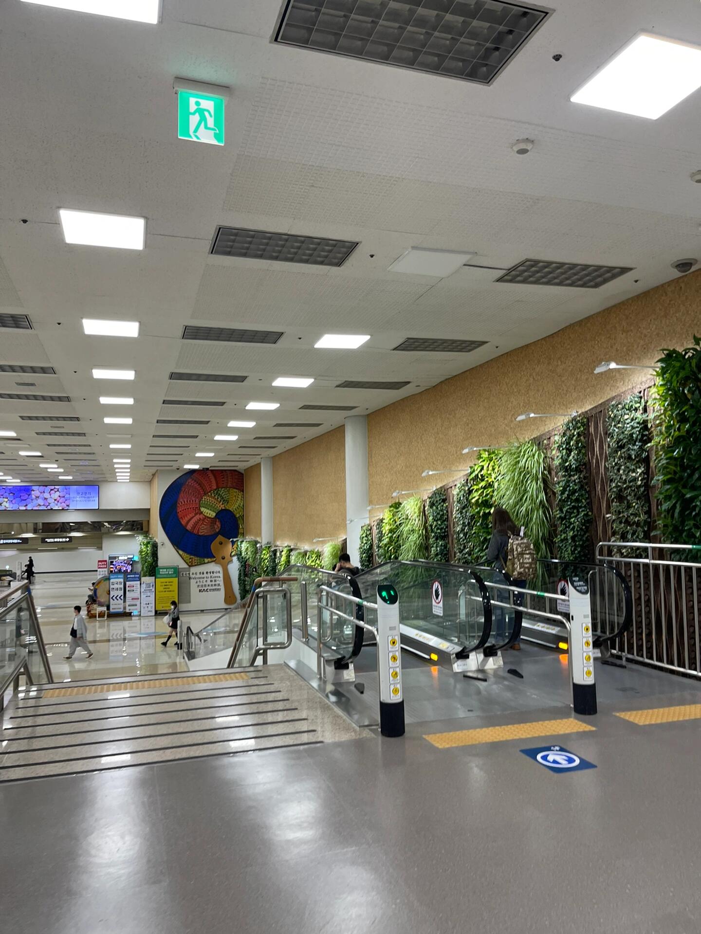 
                        ??中秋&國(guó)慶假期??韓國(guó)金浦機(jī)場(chǎng)超空曠入境體驗(yàn)?????♂?只用了1分鐘就搞定了值機(jī)，超快速！???♀?向登機(jī)口狂奔的我，只需三個(gè)步驟：1?? 出入境健康申報(bào)，輕松掃碼獲取出境二維碼（小程序搞定）2?? 安檢環(huán)節(jié)，人+行李一起過(guò)3?? 海關(guān)通關(guān)，自助機(jī)掃描護(hù)照+指紋認(rèn)證，簡(jiǎn)單快捷??穿過(guò)海關(guān)，發(fā)現(xiàn)登機(jī)口竟在最遠(yuǎn)處再次奔跑，心想飛機(jī)別飛了！??提前在app或小程序上鎖定座位，超方便我選了可以選的最前面的座位，前三排要加錢(qián)，但起飛時(shí)那里幾乎空無(wú)一人坐在第四排的我，眼巴巴看著前面的空座位真想沖上去占個(gè)座，但還是忍住了????飛機(jī)上，空姐會(huì)發(fā)兩張表格??黃色的是健康申報(bào)表下飛機(jī)后，跟著人流，海關(guān)入境申報(bào)處遞交表格排隊(duì)、遞交第二張小卡片、驗(yàn)證指紋OK??護(hù)照上貼上二維碼，就可以出關(guān)啦??取行李超簡(jiǎn)單，金浦機(jī)場(chǎng)只有三個(gè)轉(zhuǎn)盤(pán)小警犬??巡邏，提醒大家肉類、水果、種子不得入境拿完行李，走“無(wú)申報(bào)通道”出關(guān)對(duì)面就是換錢(qián)窗口，如果已經(jīng)換好了，直接出門(mén)大步流星吧！???韓國(guó)的空氣濕潤(rùn)得很，下飛機(jī)就能感受到#韓國(guó)入境 #韓國(guó)金浦機(jī)場(chǎng) #韓國(guó)旅游 #韓國(guó)自由行 #國(guó)慶去哪兒玩 #中秋快樂(lè) #中秋出游