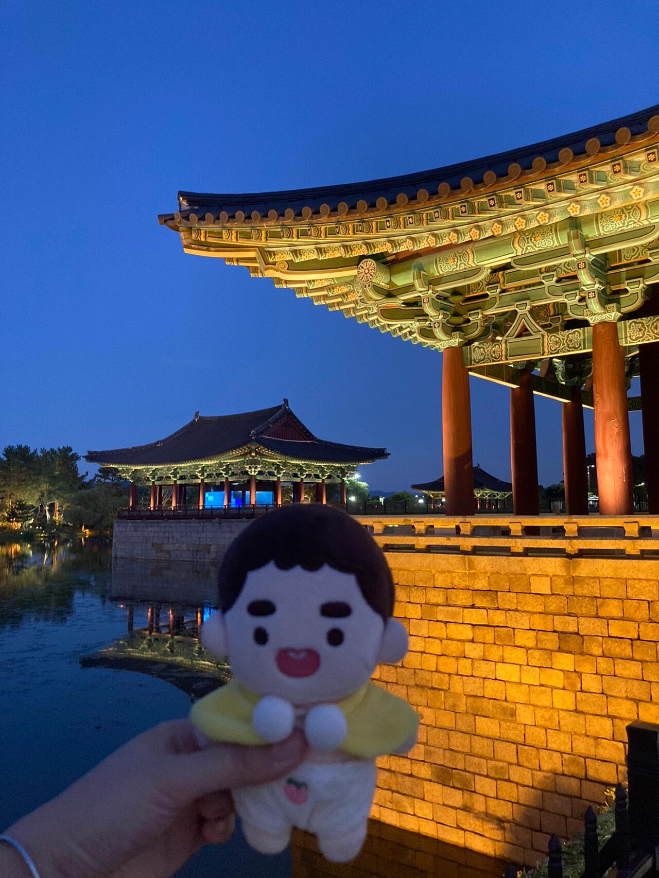 
                        ????|慶州旅行 之和嘟豆豆的一天一夜??美如畫的城市?（又欠下一堆景點(diǎn)文和vlog …）#韓國(guó)留學(xué)日常 #韓國(guó)慶州 #韓國(guó)旅游種草