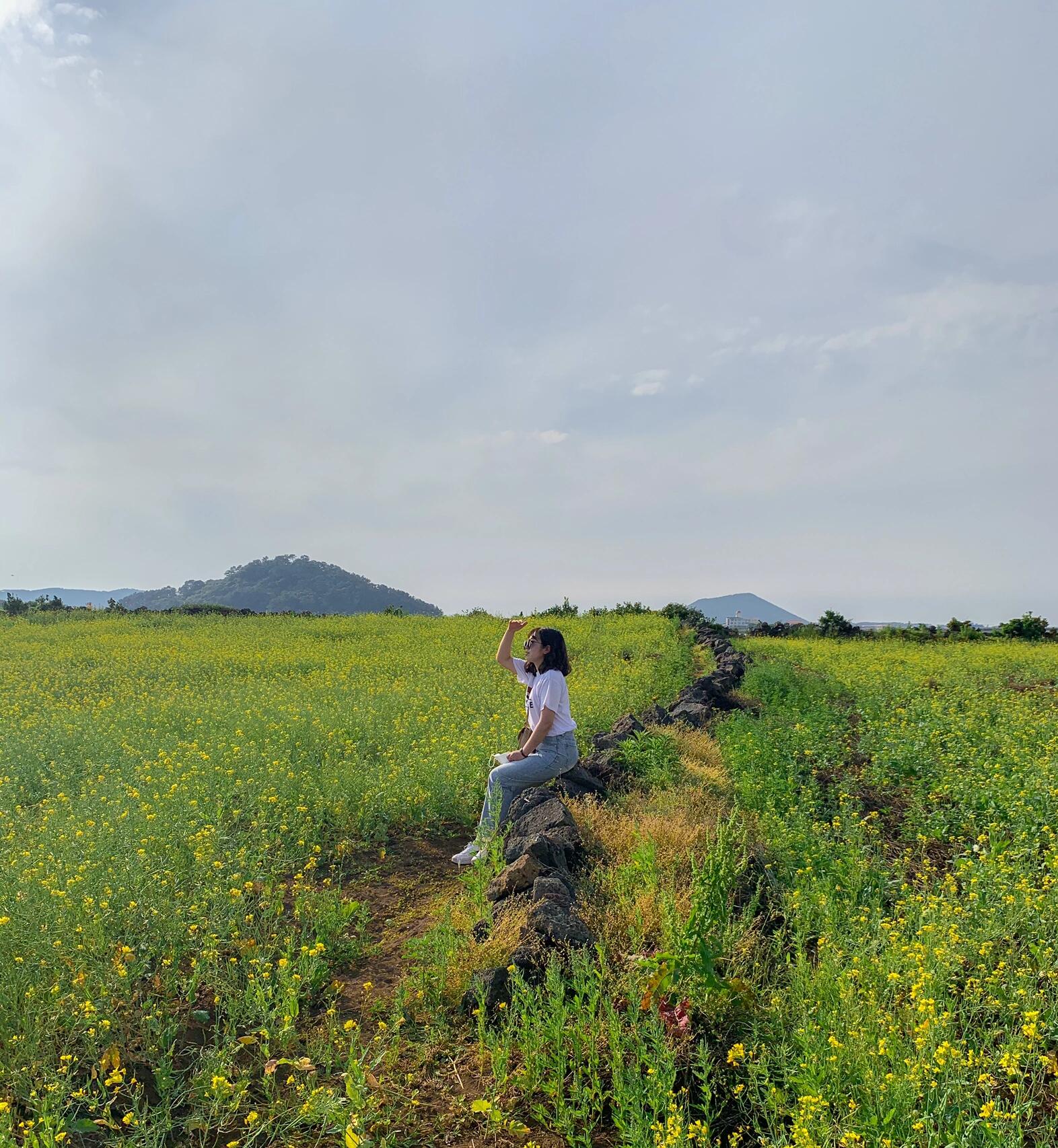 
                        ??濟(jì)州島之旅??1??????濟(jì)州島雖不大，但想要環(huán)島游覽，建議至少安排兩三天哦！一天內(nèi)想逛遍多個(gè)景點(diǎn)可是挑戰(zhàn)大了點(diǎn)。挑選一個(gè)區(qū)域，慢慢品味每一處風(fēng)景，才是旅行的最佳打開(kāi)方式！??我選擇了從東端開(kāi)始我的徒步+公交探險(xiǎn)，每天換個(gè)住處，這樣旅行就不受時(shí)間束縛，可以盡情享受每一刻。???♂???In Jeju DAY 1???????????????????????? 城山日出峰這里可是濟(jì)州島的標(biāo)志性景點(diǎn)之一！為了追逐那完美的日出，我提前查好了日出時(shí)間（天氣APP上都能查到準(zhǔn)確時(shí)間），徒步上山大約需要30分鐘。我是提前40分鐘出發(fā)的，為了不錯(cuò)過(guò)那一刻。????TIP: 日出峰有兩條路線，一條是登頂?shù)氖召M(fèi)路線（5000韓幣/人），另一條是山下的免費(fèi)散步路線。售票處早上7點(diǎn)開(kāi)門(mén)，但凌晨看日出時(shí)可以免費(fèi)走收費(fèi)路線，只需從旁邊小路繞進(jìn)去。雖然山上沒(méi)有路燈，但不必?fù)?dān)心，因?yàn)檫€有很多和你一樣的旅伴，大家一起迎接第一縷曙光。?????? 牛島從城山日出峰下來(lái)，回酒店稍作休息，吃過(guò)早餐后就出發(fā)去牛島啦！乘船前往牛島需要到???????????，船程大約十分鐘，往返船票10000韓幣/人。船班每小時(shí)一趟，沒(méi)有固定時(shí)間，但別錯(cuò)過(guò)最晚6:30回程的船哦。島上推薦租個(gè)??電動(dòng)車環(huán)島游（自行車會(huì)累哭，島上坡多）。牛島上最美的地方非???莫屬，真的是美不勝收！????????? 涉地可支這里是個(gè)山海相連的自然公園，免費(fèi)開(kāi)放。不建議乘坐公交，我是在城山日出峰附近租了自行車（1萬(wàn)韓幣/天），騎車前往的。如果沒(méi)有自行車，建議打車前往（call taxi 064-784-8585），因?yàn)槎荚谝粋€(gè)區(qū)域，打車費(fèi)用也不會(huì)太貴。???♀?第一天的行程雖然看起來(lái)簡(jiǎn)單，但其實(shí)爬山走路真的很消耗體力，希望大家的旅行都能充滿歡樂(lè)。如果你正計(jì)劃去濟(jì)州島，希望我的分享能幫到你！??#韓國(guó) #韓國(guó)生活 #韓國(guó)旅游 #濟(jì)州島 #濟(jì)州島旅行 #城山日出峰 #牛島