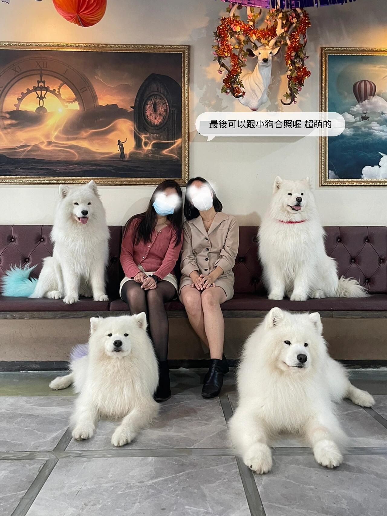 
                        韓國弘大????超療癒??被一大群薩摩耶犬包圍薩摩犬真的調(diào)皮搗蛋又可愛！弘大這家狗Cafe很值得去??人均韓圜12000 （港幣約～$65）?? ??? ??? ? (Gyeoul’s House Cafe)??? ??? ????17? 19-5South Korea, Seoul, Mapo-gu, Wausan-ro 17-gil, 19-5? 星期一至日 1pm-9pm (星期二休息）- - - -更多韓國首爾美食?? #unibear韓國首爾美食探店- - - -#筆記靈感 #弘大 #弘大探店 #我的萌寵 #狗狗日常 #韓國美食 #韓國生活 #韓國日常 #韓國探店 #韓國首爾探店 #韓國狗咖 #狗狗咖啡館 #韓國狗狗咖啡廳 #韓國弘大店 #韓國弘大附近 #弘大薩摩狗咖 #薩摩耶的日常 #薩摩耶寶寶 #微笑天使薩摩耶 #薩摩耶 #韓國薩摩耶 #首爾弘大