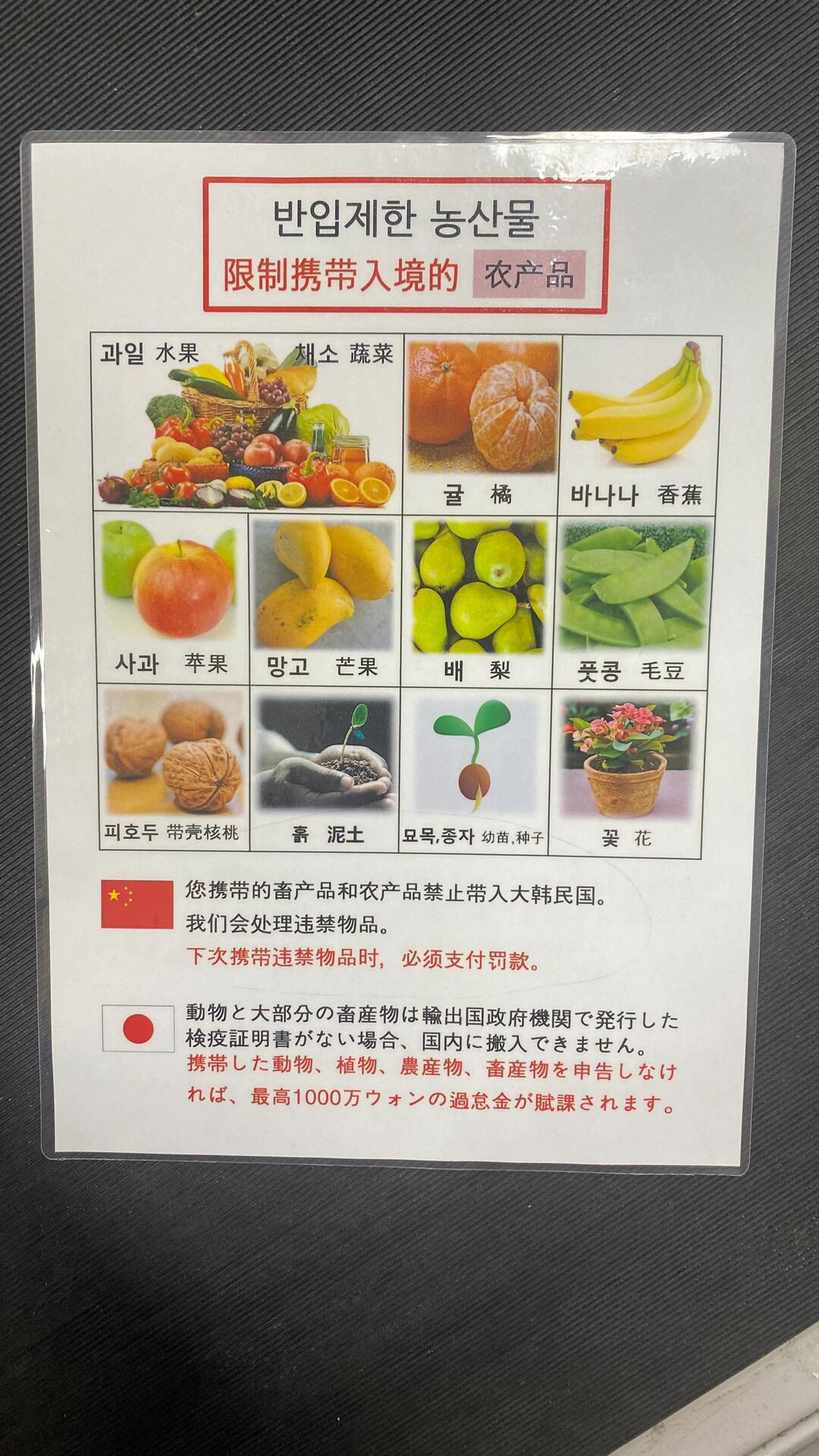 
                        韓國旅行小貼士：這些物品千萬別帶！??????在韓國機場領取行李時，我驚訝地發現我的行李箱上貼著一張通知和一個警報器，發出滴滴的聲音。工作人員告訴我，我的行李中含有不允許入境的物品，需要進行單獨檢查。打開行李箱一看，我的核桃（原來帶殼的核桃是禁止攜帶的）被沒收了。旁邊的大哥也遭遇了同樣的情況。如果你也計劃去韓國，記得提前查看P6-7的違禁品清單哦，以免遇到同樣的麻煩！????#韓國 #韓國入境 #首爾旅行 #旅行小貼士