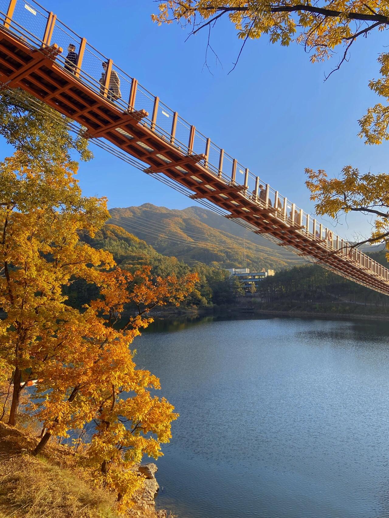 
                        韓國小眾絕美神仙地??秋日好去處??坡州?????? 位于京畿道坡州市廣灘面基山里，山150-1號，也可導航至基山路259號??前往這片自然美景的路途中，雖然缺乏地鐵站點，但公交車站的存在確保了交通的便利性???周邊配備了眾多停車場，其中6號停車場還能免費停放愛車??完全無需門票，開放式的公園環境讓人心曠神怡??湖泊恰到好處的大小，環湖漫步，感受秋日的愜意??體驗透明玻璃船，15000韓元可享受半小時的樂趣（實際上你可以盡情劃槳，無需擔心時間限制，店家通常不會催促）??連接兩岸的大橋易于找尋，結構穩固，即便是恐高者也無需擔心，來回穿行完全免費??這里游人稀少，帶上你的寵物狗一同散步，享受寧靜的慢生活#坡州旅行 ?? #首爾周邊游 #韓國旅行 #我的日常 #韓國生活 #韓國留學 ????