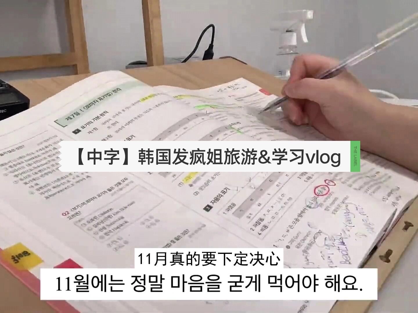 
                        [中]韓國學(xué)霸日常??| 學(xué)無止境，勤學(xué)才能開新路~ ??韓國公考備考記??| 鐵桿學(xué)習(xí)者金UDAN的日常| 學(xué)習(xí)用品大公開?| 服務(wù)區(qū)小憩，充電再出發(fā)???| 2022.11.07#studyvlog #學(xué)習(xí)vlog #學(xué)習(xí)日常 #勤奮學(xué)習(xí) #韓國vlog #韓國 #韓國生活 #書本控