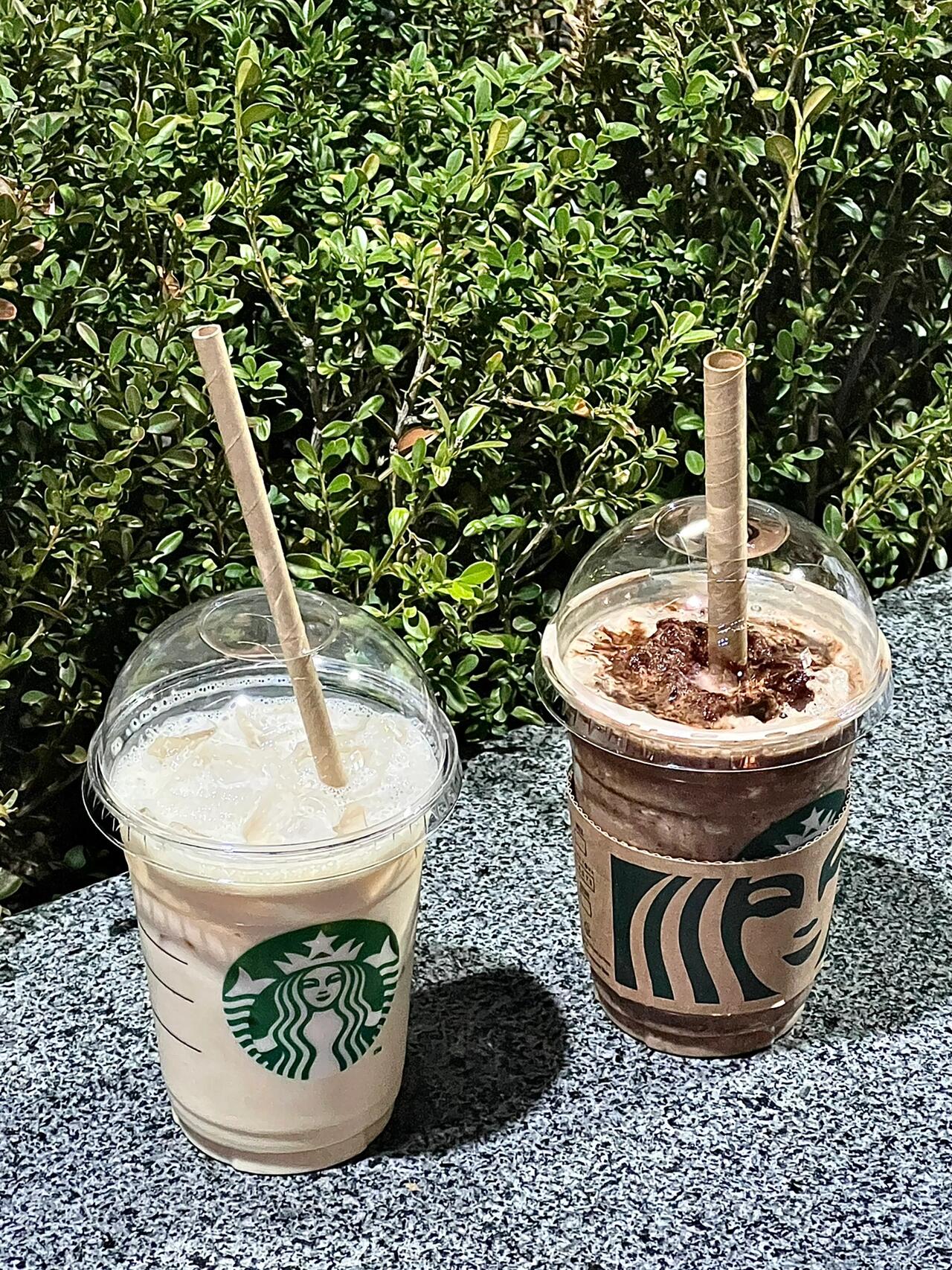 
                        ???? 必須分享的韓國星巴克神級(jí)飲品！大家好～來自韓國的星巴克探店報(bào)告來啦！今天要大力推薦的是：???????！??這款飲品簡直是紅茶愛好者的福音呀！它是紅茶??搭配煉乳和牛奶的完美組合，而且重點(diǎn)是沒有咖啡因哦！第一次嘗試后，我就徹底被它征服了，連續(xù)一個(gè)星期都是每天必點(diǎn)！??每次走進(jìn)星巴克，我的選擇都是它，冰的???????讓我欲罷不能～還沒嘗試過熱的，但我覺得冰的就已經(jīng)完美！甜度也是剛剛好，不會(huì)過甜，每一口都是享受！如果你還沒嘗試過，我會(huì)真的很傷心哦～因?yàn)樗娴某?jí)好喝！??大家也來分享一下你們心中的星巴克top1飲品吧！讓我們一起在韓國星巴克找到自己的最愛！??#韓國星巴克 #留學(xué)韓國 #首爾探店 #星巴克必喝 #紅茶控 #韓國咖啡廳探索 #韓國美食大賞