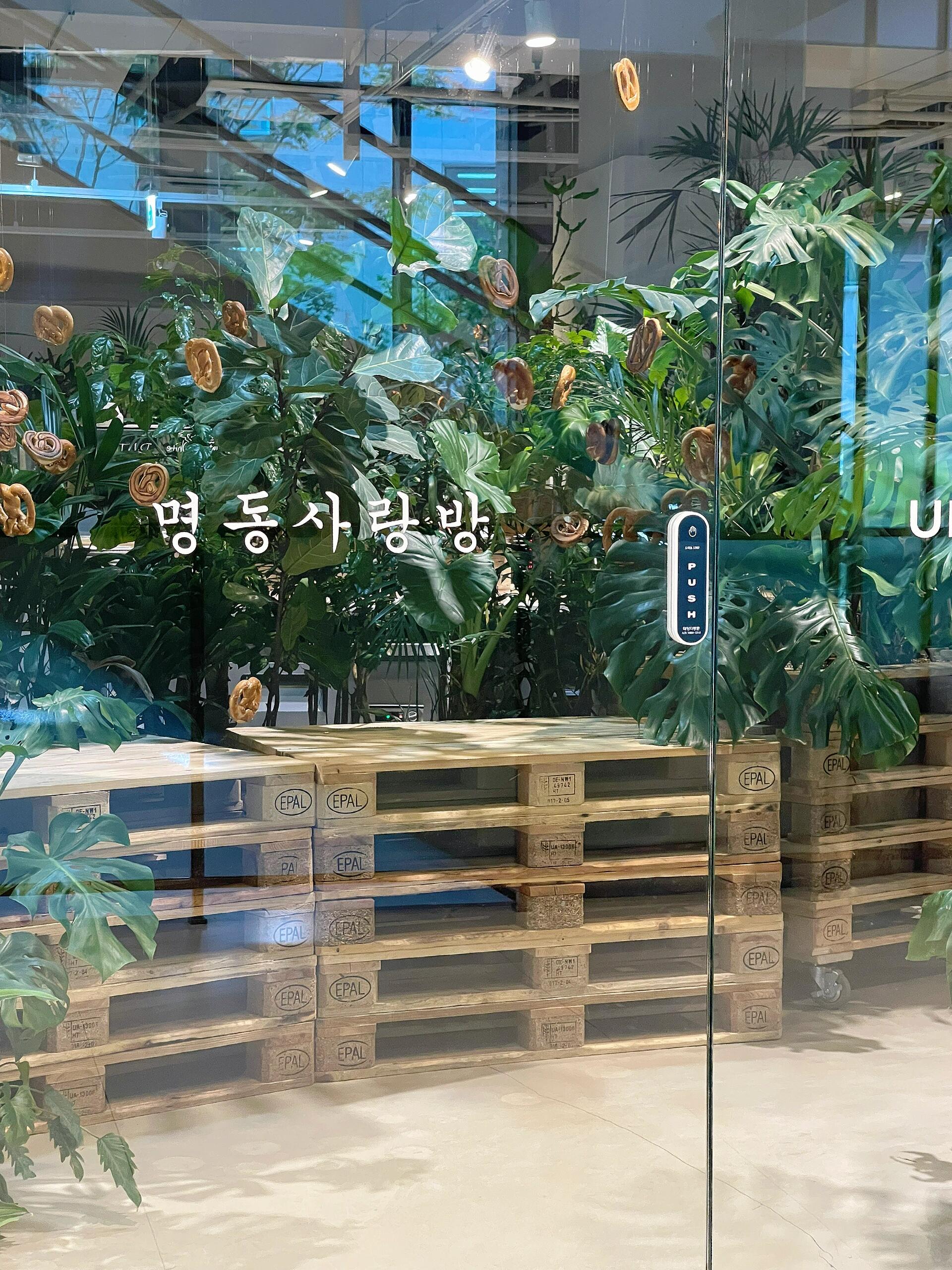 
                        ????明洞-【敢相信這是咖啡店嗎？】不得不服韓國的咖啡店完全不敢相信這是咖啡店??這不是妥妥的照相館嗎人也不是很多，咖啡味道也不錯喜歡拍照?? 打卡咖啡店的集美趕緊去沖～#韓國生活 #咖啡店 #韓國明洞 #明洞 #明洞美食 #明洞咖啡廳