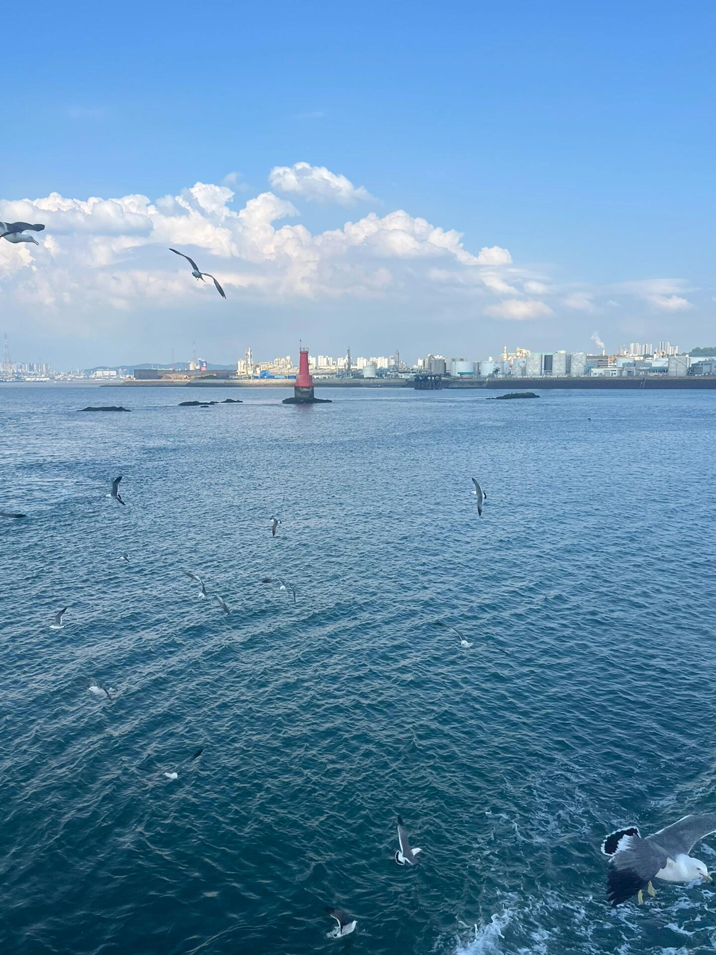 
                        ????探索韓國的隱藏寶石：月尾島之美?#韓國旅行 #月尾島 #韓國美景 #旅游打卡地月尾島，這個位于仁川的小島，是韓國的一個隱藏寶石。??? 它不僅擁有寧靜的海灘、清澈的海水，還有著豐富的歷史和文化。?????當(dāng)你漫步在月尾島的沙灘上，你會被這里的自然美景所震撼。?? 海浪輕拍著岸邊，海風(fēng)輕撫著臉龐，讓人心曠神怡。???除了自然風(fēng)光，月尾島還有許多值得探索的地方，比如歷史悠久的廟宇和傳統(tǒng)的韓屋。???? 這里是攝影愛好者和旅行者的天堂，每一處都是打卡的好地方。如果你想體驗韓國的寧靜與美麗，那么月尾島絕對是一個不容錯過的目的地。???? 準(zhǔn)備好你的相機，來這里捕捉那些令人難忘的瞬間吧！
