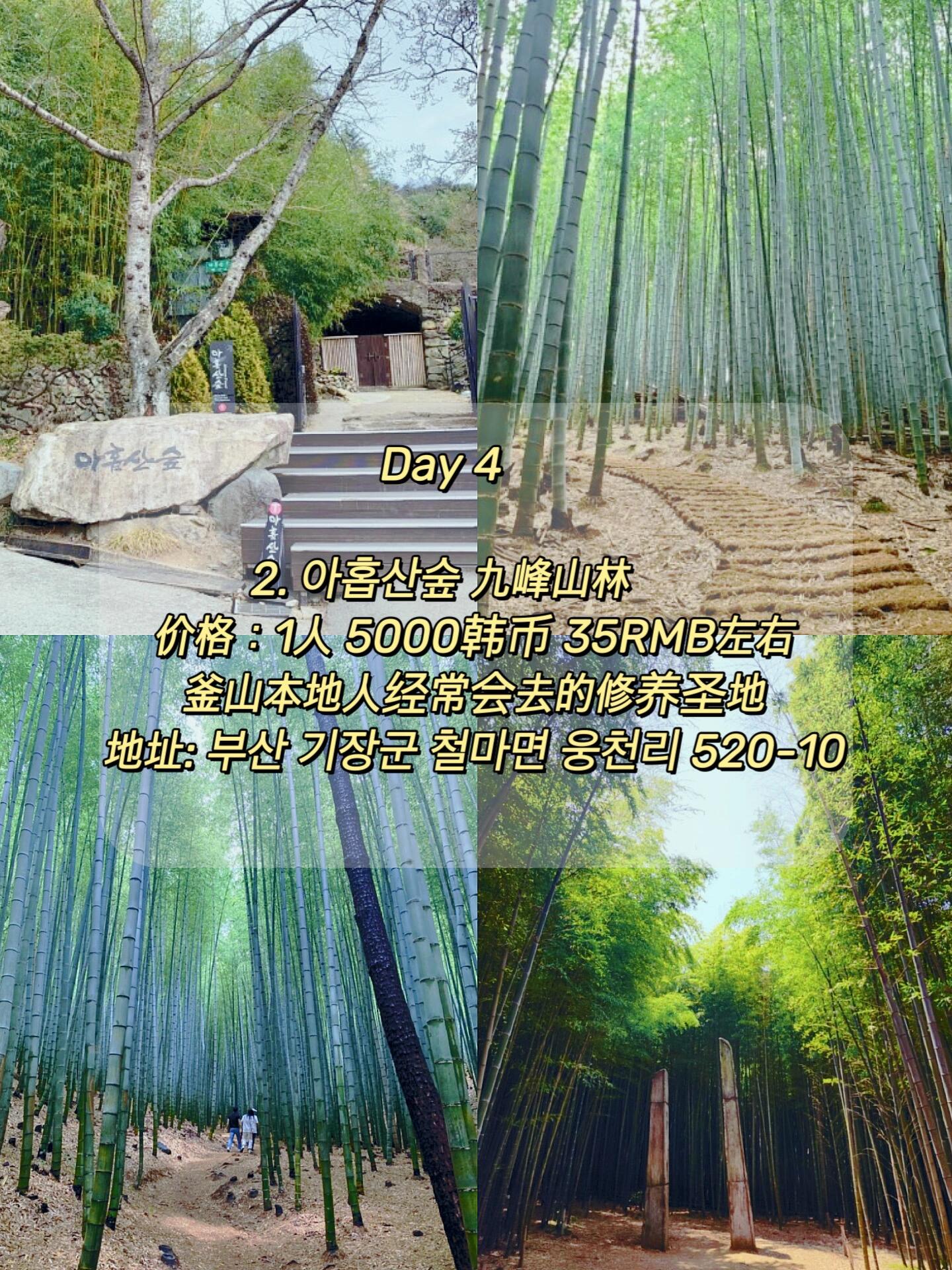 
                        2023保姆級教程|釜山4天3晚最新旅游攻略??????1??Day 1：??酒店: ????? ??價格： 5~6萬韓幣 350RMB左右住址: ?? ?? ????59?? 62??Day 2 :1. ?????? 甘川文化村地址: ?????????????2. ???????? 松島海上纜車價格： 往返22000韓幣 120RMB左右地址: ?? ?? ????? 1713. ?????? 龍宮云梯地址: ?? ?? ??? 620-534. ??????? 白灘文化村地址: ?? ??? ???4? 605-35. ???????? 五六島天橋地址: ?? ?? ???? 1376. ??????? 廣安里海水浴場地址: ?? ??? ????? 219??酒店: hotel mare gwangan價格： 5~7萬韓幣 3~400RMB左右地址: ?? ?? ????59?? 63??Day 3:1. ????? 膠囊火車地址：?? ???? ?? 948-1價格：膠囊火車 單程 2人 35000韓幣 170RMB左右海邊火車 單程 1人 7000韓幣 35RMB左右2. ??????? 海云臺海水浴場地址：?? ???? ??3. ???101 THEbay101地址：?? ???? ??? 52 ???101??酒店: ??? ?? ???? ?? ???價格： 6~8萬韓幣 350~450RMB左右地址：?? ???? ??????209?? 84??Day 4:1. ????? 海東隆宮寺地址 ?? ??? ??? ??? 86 ?????2. ???? 九峰山林價格：1人 5000韓幣 35RMB左右地址: ?? ??? ??? ??? 520-10#浪漫生活的記錄者 #韓國生活 #酒店推薦 #韓國旅游 #釜山行 #釜山旅行 #韓國旅行 #釜山 #韓國旅行攻略 ?????????