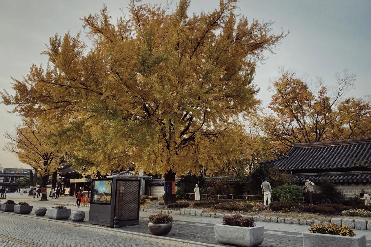 
                        等到進慶基殿的機會?遲到的韓屋文化體驗????#全州 #全州韓屋村 #韓屋村 #慶基殿 #全州旅行 #韓國 #韓國韓屋村