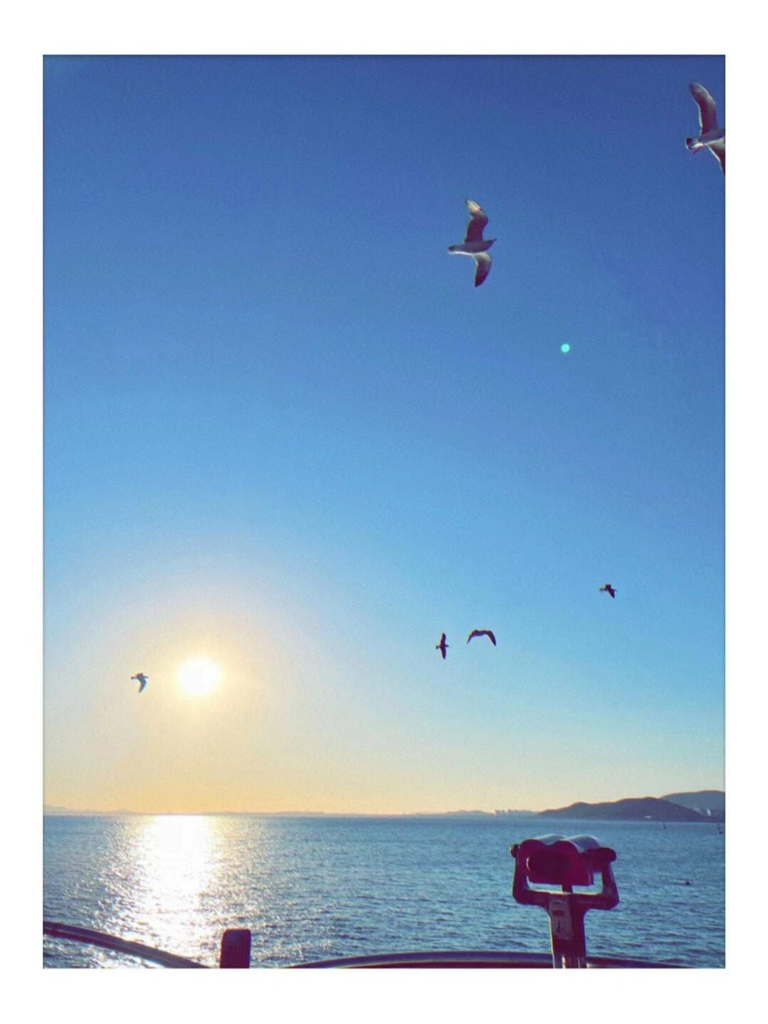 
                        ??探秘韓國仁川??月尾島的海濱樂園??在仁川的月尾島，有個超級好玩的游樂設施——迪斯科棒棒，笑到肚子疼????位置：韓國仁川市中區北城洞1街98-352#韓國旅游# #韓國旅行# #仁川旅游# #仁川旅行# #月尾島# #迪斯科棒棒# #海邊游樂場# #大海# #夕陽#