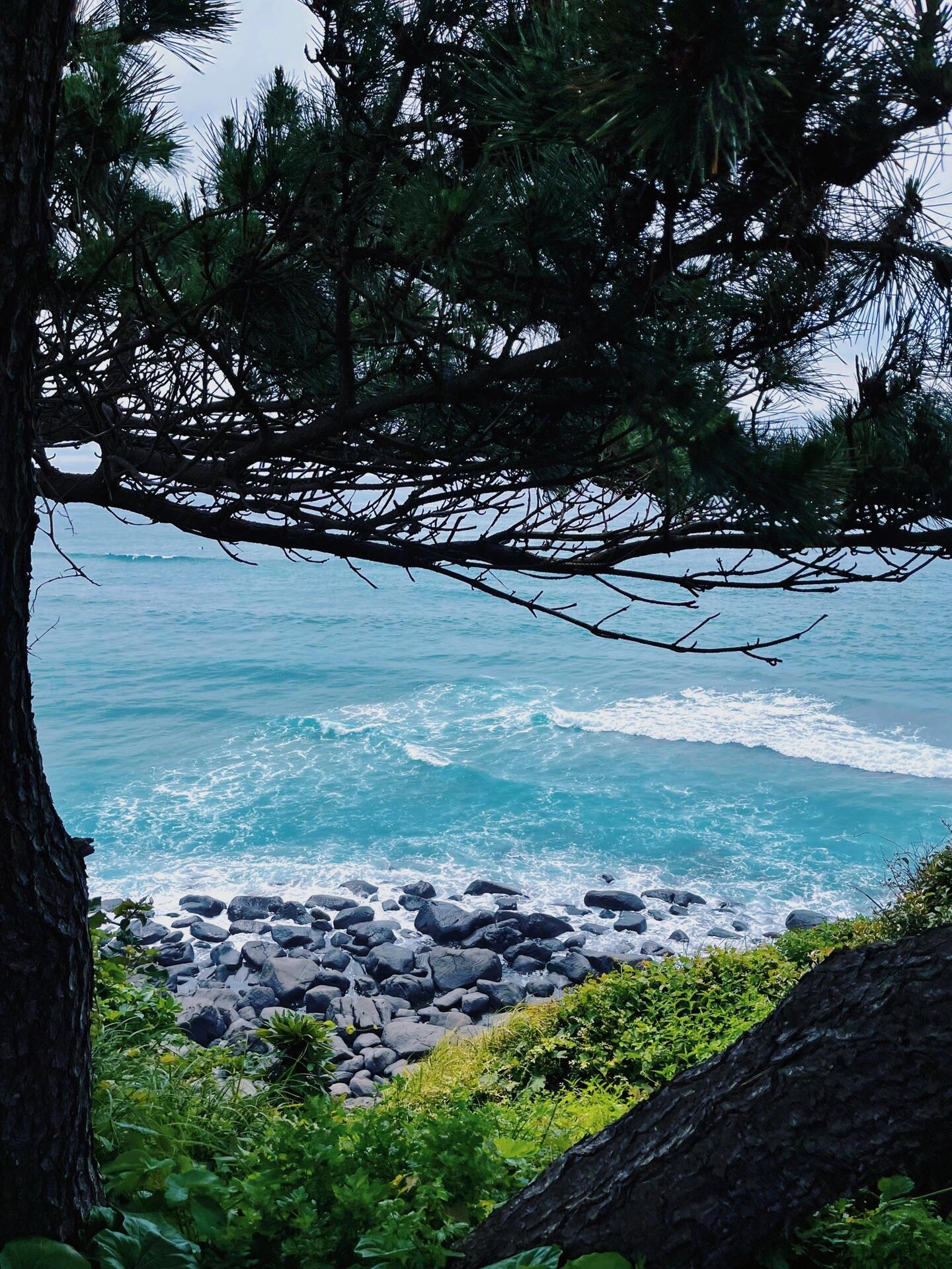 
                        濟州島探秘 | 西歸浦Parnas度假天堂????探索濟州島南部的寶藏，西歸浦市的度假酒店等你來發現！Parnas度假村的公共區域美如畫，海邊的步道讓人心曠神怡，而且海就在咫尺之遙。房間的設計雖然簡約，但舒適度滿分。#濟州島度假 #海邊悠閑時光 #夢幻濟州島 #西歸浦美景 #海邊攝影 #濟州島游記 #濟州島住宿 #海浪聲中入眠 ???????