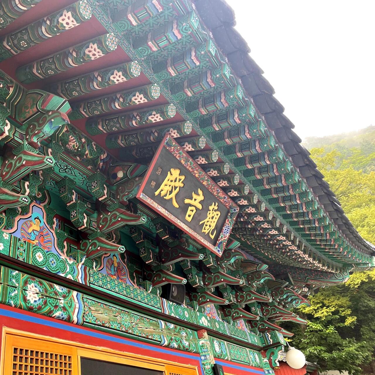
                        ??來(lái)一次許愿之旅吧！【清道邪離庵】??今天為大家介紹因?yàn)樵S愿而出名的邪離庵。現(xiàn)在正值10月，清道隨處可見(jiàn)的柿子樹(shù)，成為了一道獨(dú)特的風(fēng)景。?邪離庵被深山包圍著，從陡峭的入口能看出，要想去往邪離庵并不容易，但好在上去的一路到處都是為游客準(zhǔn)備的拐杖。??需要爬的臺(tái)階一共有1008個(gè)，雖然很累，但聽(tīng)著邪離庵傳來(lái)的佛經(jīng)聲，讓我?guī)е\(chéng)之心爬上去。許愿后還可以坐在休息處欣賞周邊風(fēng)景，吃一點(diǎn)休息處提供的簡(jiǎn)單的零食，感覺(jué)非常愜意~?? 清道邪離庵 (?????)地址：慶尚北道清道郡云門面云門寺路529 (???? ??? ??? ???? 529)??訪問(wèn)時(shí)請(qǐng)一定保持安全距離，并佩戴口罩哦#韓國(guó) #韓國(guó)旅行 #韓國(guó)觀光 #韓國(guó)景點(diǎn) #打卡 #山路 #村莊 #清道 #邪離庵 #自然 #秋季旅行 #拍照 #打卡圣地 #打卡熱點(diǎn) #熱門 #慶尚北道 #許愿