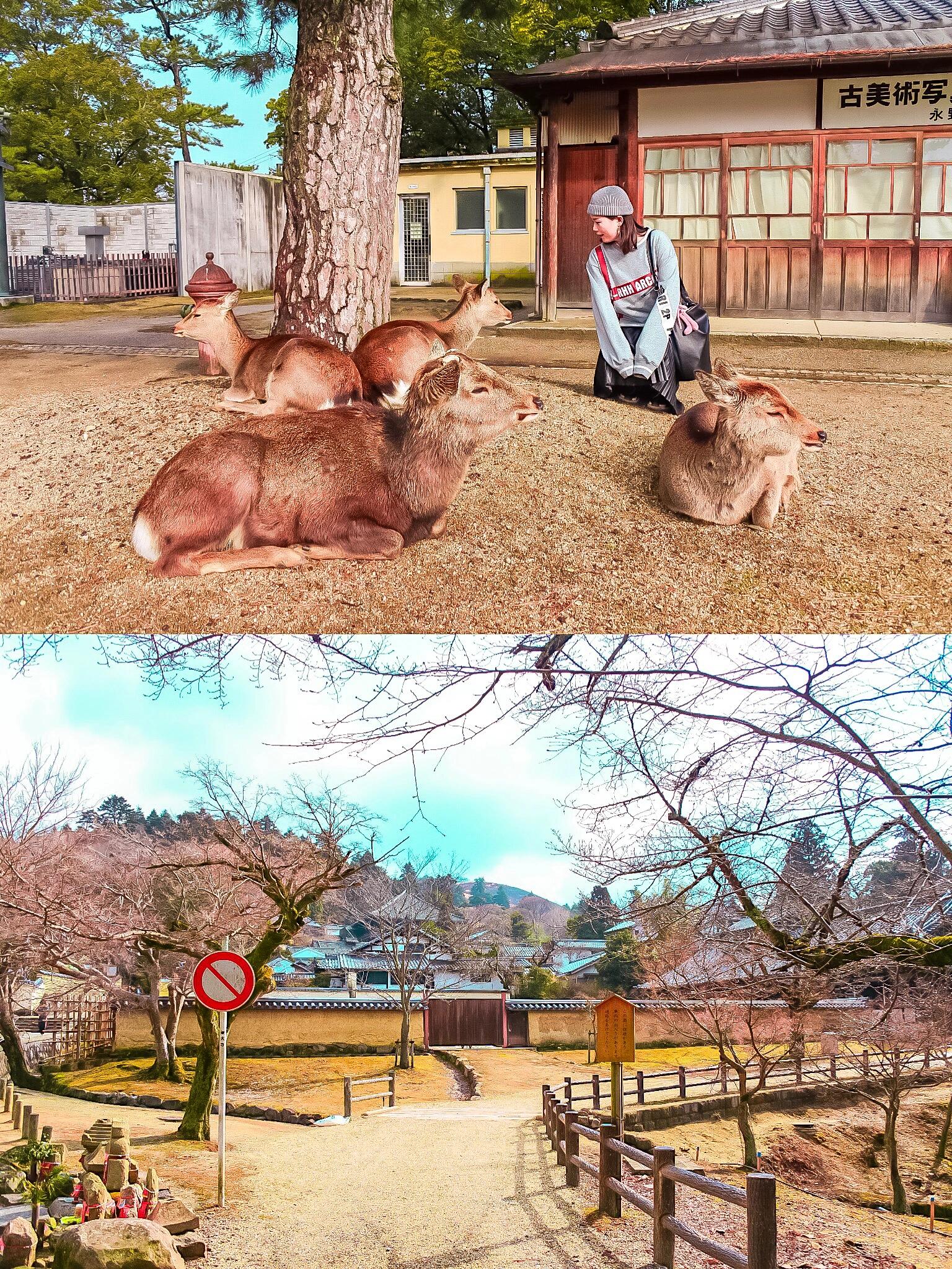 
                        第一次出國(guó)?推薦這4?個(gè)高性?xún)r(jià)比的地方??#旅途中的美景??準(zhǔn)備第一次出國(guó)，但是預(yù)算不多？別擔(dān)心！我有四個(gè)性?xún)r(jià)比超高的目的地推薦給你們風(fēng)景美、美食多、玩得開(kāi)心，而且不會(huì)破費(fèi)哦～·【?菲律賓-長(zhǎng)灘島】??長(zhǎng)灘島的沙灘和海水簡(jiǎn)直堪比馬爾代夫，白沙細(xì)膩，海水清澈蔚藍(lán)。一定要體驗(yàn)一次日落帆船之旅，那畫(huà)面美得讓人難以忘懷～·【?韓國(guó)-濟(jì)州島】??濟(jì)州島是韓國(guó)的秘密花園。在綠茶博物館享受悠閑的下午茶，在羊群中與綿羊親密接觸，或是在牛島騎行享受海風(fēng)。還可以爬上城山日出峰，觀(guān)賞海女們捕魚(yú)的壯麗景象～·【?日本-關(guān)西】?關(guān)西地區(qū)相比東京，生活成本更低，自然風(fēng)光更加迷人。奈良的梅花鹿非?？蓯?ài)，京都的寺廟獨(dú)具魅力，大阪的夜景令人陶醉。別忘了去環(huán)球影城體驗(yàn)電影魔法～·【?意大利-米蘭/羅馬/威尼斯】???意大利也適合背包旅行！提前預(yù)訂酒店，可以找到性?xún)r(jià)比高的住宿?；疖?chē)票提前購(gòu)買(mǎi)也更加經(jīng)濟(jì)。每月第一個(gè)周日，許多景點(diǎn)免費(fèi)開(kāi)放。超市的熟食比餐館實(shí)惠，購(gòu)物的話(huà)可以去奧特萊斯，性?xún)r(jià)比超高～·??出國(guó)旅行，安全是最重要的。近年來(lái)國(guó)際形勢(shì)多變，尤其是東南亞地區(qū)，安全意識(shí)要加強(qiáng)。建議出行前購(gòu)買(mǎi)旅行險(xiǎn)，我個(gè)人推薦安盛的智行天下全球境外旅行保險(xiǎn)，價(jià)格實(shí)惠，覆蓋面廣，讓你旅途無(wú)憂(yōu)。價(jià)格只需98元，包括駕乘意外和公共交通意外保障，讓你的旅行更加安心～-??安盛旅行險(xiǎn)不僅提供人身意外保障，還包括境外就醫(yī)（如戶(hù)外運(yùn)動(dòng)受傷、突發(fā)疾病等），財(cái)物安全（如貴重物品丟失、信用卡盜刷、現(xiàn)金丟失等），以及旅途中的延誤情況（如航空公司延誤、行李延誤等）。有了這份保險(xiǎn)，你就可以放心大膽地去探索世界啦！想了解更多，可以關(guān)注安盛的小紅書(shū)官方賬號(hào)，還有機(jī)會(huì)參加神秘禮物活動(dòng)哦～#韓國(guó)濟(jì)州島 #長(zhǎng)灘島 #意大利旅行 #國(guó)際旅行險(xiǎn) #最美日落 #安盛旅行險(xiǎn) #海島度假游