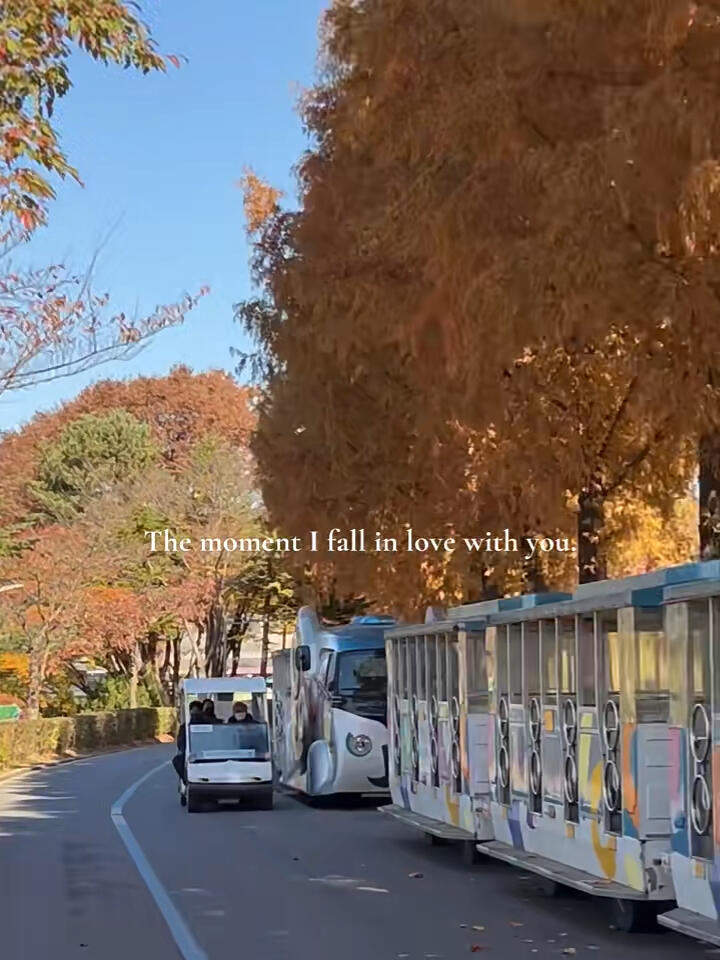 
                        ????留學生日記｜首爾秋季游記 - 首爾大公園的秋意濃??首爾的秋季，如詩如畫，溫柔又宜人 ????#留學生活 #首爾生活 #秋季賞景 #秋意濃情 #首爾大公園 #韓國留學 #首爾秋色 #首爾探索