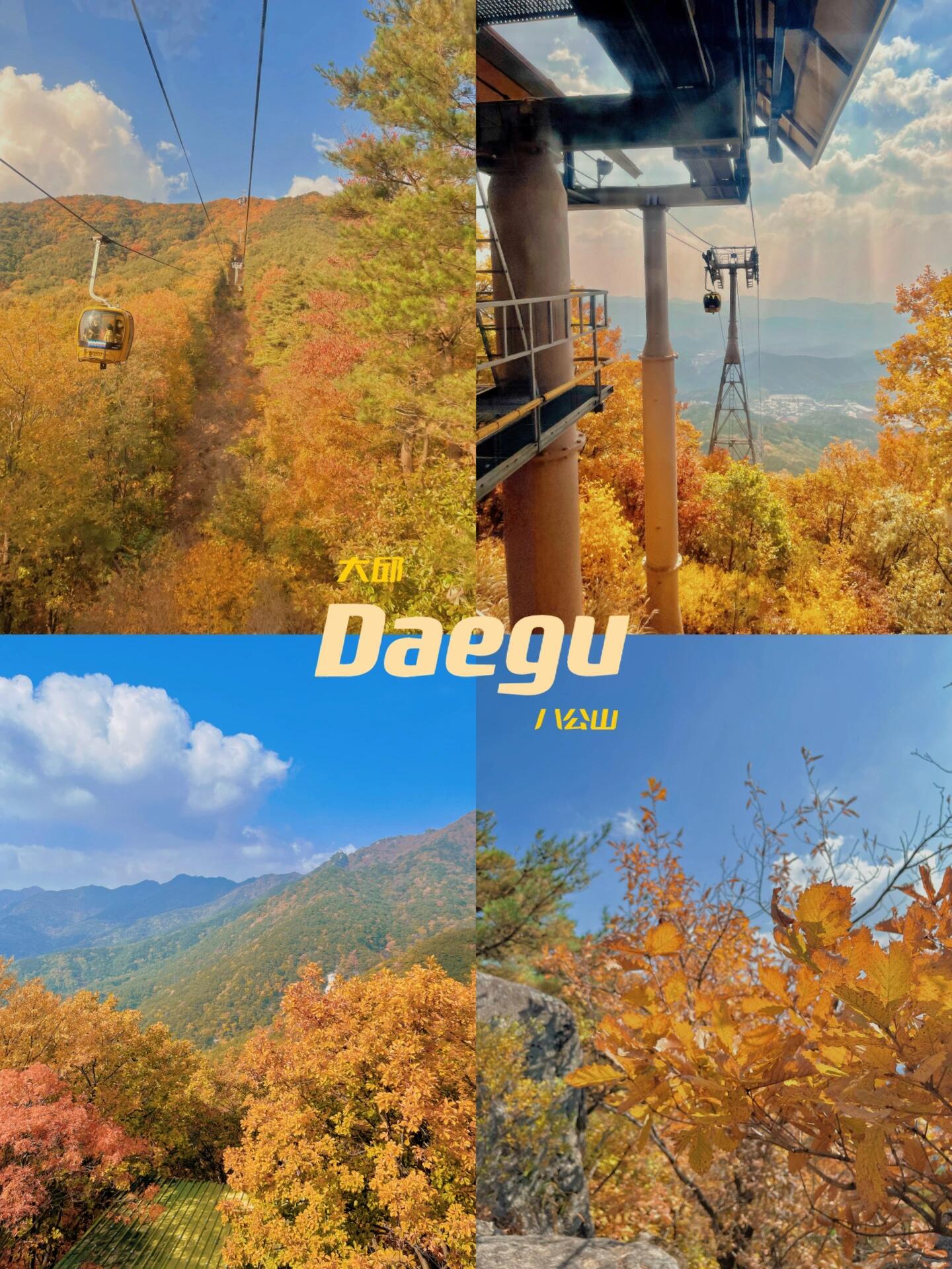 
                        ??探秋之旅?? | 韓國大邱八公山美景不可錯過秋意濃，楓葉紅！??從釜山出發，高鐵帶我40分鐘后抵達了充滿活力的大邱。在這里，有一個秋天的秘密花園等著你——八公山，楓葉銀杏的海洋，美不勝收！我們把行李安置好后，迫不及待地搭上了通往八公山的公交車。車窗外，秋色正濃，大約1小時的車程仿佛一場視覺盛宴。下車后，跟隨著人流走了大概15分鐘，纜車站就出現在眼前。來回票價11000韓元，值得每一分錢。纜車慢慢上升，四周的景色也逐漸展開——綠的、金的、黃的、紅的，秋天的調色盤在眼前鋪開，美得讓人心醉。到了山頂，還有個驚喜等著你——一家風景如畫的餐廳。坐在這里，一邊享受著大自然的美景，一邊品嘗當地的蕎麥冷面和泡菜豆腐，味蕾和心靈都得到了滿足。#韓國旅行 #大邱旅游 #秋日探險 #大邱八公山 #楓葉季節 ?????