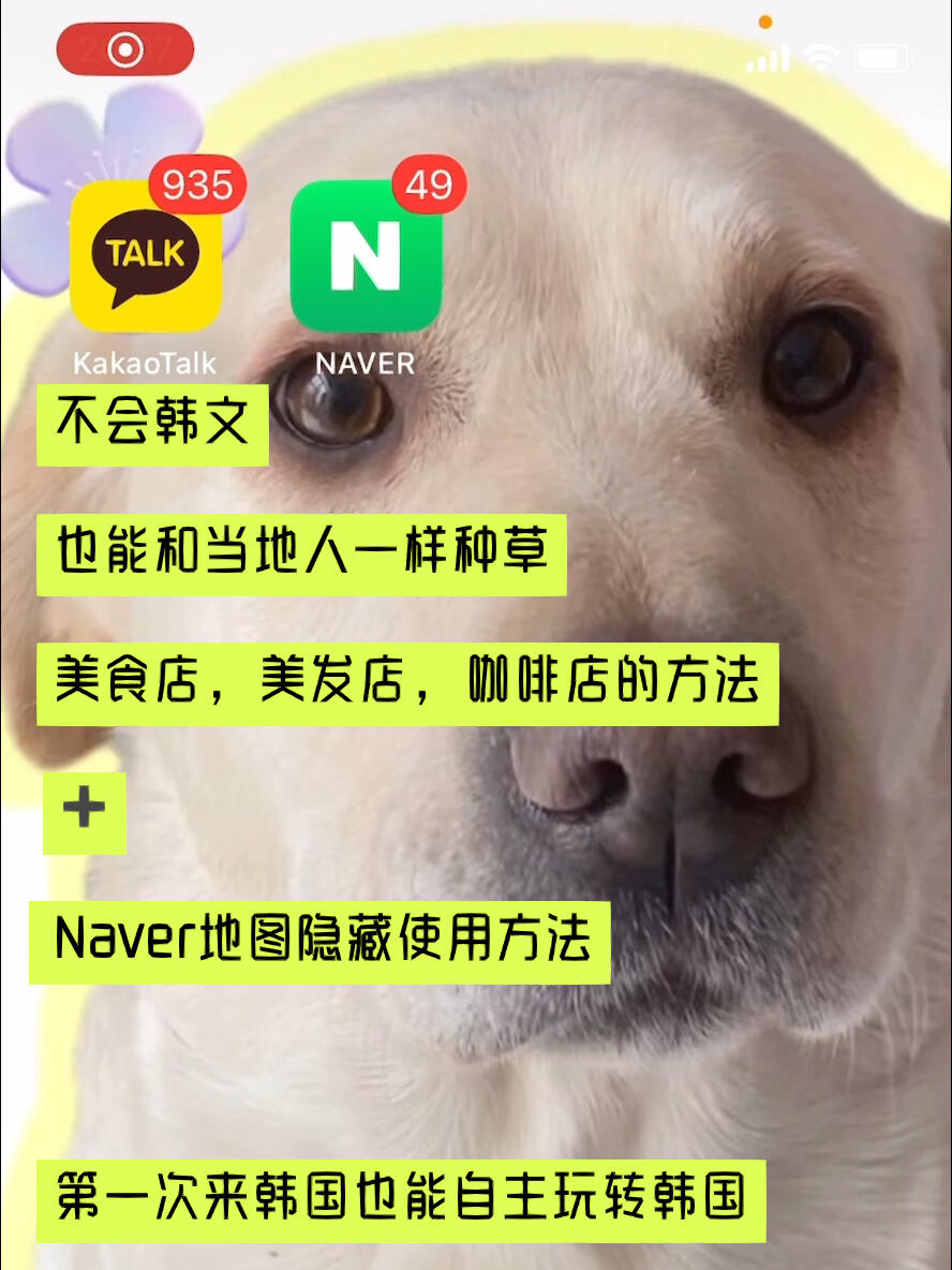
                        ????不懂韓語也能輕松探索韓國美食&美發(fā)&咖啡館?大家好呀！今天來給大家安利一個超級實用的小技巧，就算你韓語不行，也能在韓國輕松找到美食、美發(fā)店和咖啡館哦！??????首先，你需要下載一個綠色的Naver App（就像咱們的百度一樣強大）。然后，不管你是突然肚子餓了還是口渴了，或者想要美美地做個發(fā)型，只需要簡單幾步：1?? 想吃美食，就搜索“?? ??”（附近美食店）2?? 想喝點什么，就搜索“?? ??”（附近咖啡店）3?? 想做頭發(fā)，就搜索“?? ???”（附近美發(fā)店）我已經(jīng)把韓文放在評論區(qū)啦，直接復(fù)制就可以使用啦！??接下來，點擊定位圖標確保搜索的是你周圍的店鋪。然后，往下滑動就能看到一系列店鋪，點擊想要了解更多的店鋪。挑選好了之后，點擊店鋪可以看到詳細信息，比如照片、菜單和地址。直接點擊導(dǎo)航圖標，就能在Naver地圖上看到怎么去啦！???跟著藍色的線路走，就能到達目的地了，超級簡單對吧！這樣，就算你韓語不太行，也能隨心所欲地探索韓國的美食和美景啦！如果需要預(yù)約服務(wù)，隨時找我?guī)兔ε叮視軜芬鈳椭蠹业模??希望這個小貼士能讓你的韓國之旅更加愉快！有任何問題都可以找我哦，能認識大家真的超開心的！??#假期去哪玩 #韓國旅游 #韓國美食 #韓國咖啡店 #韓國自由行 #Naver地圖 #韓國美發(fā) #韓國美發(fā)店種草 #韓國咖啡店種草 #韓國美食種草